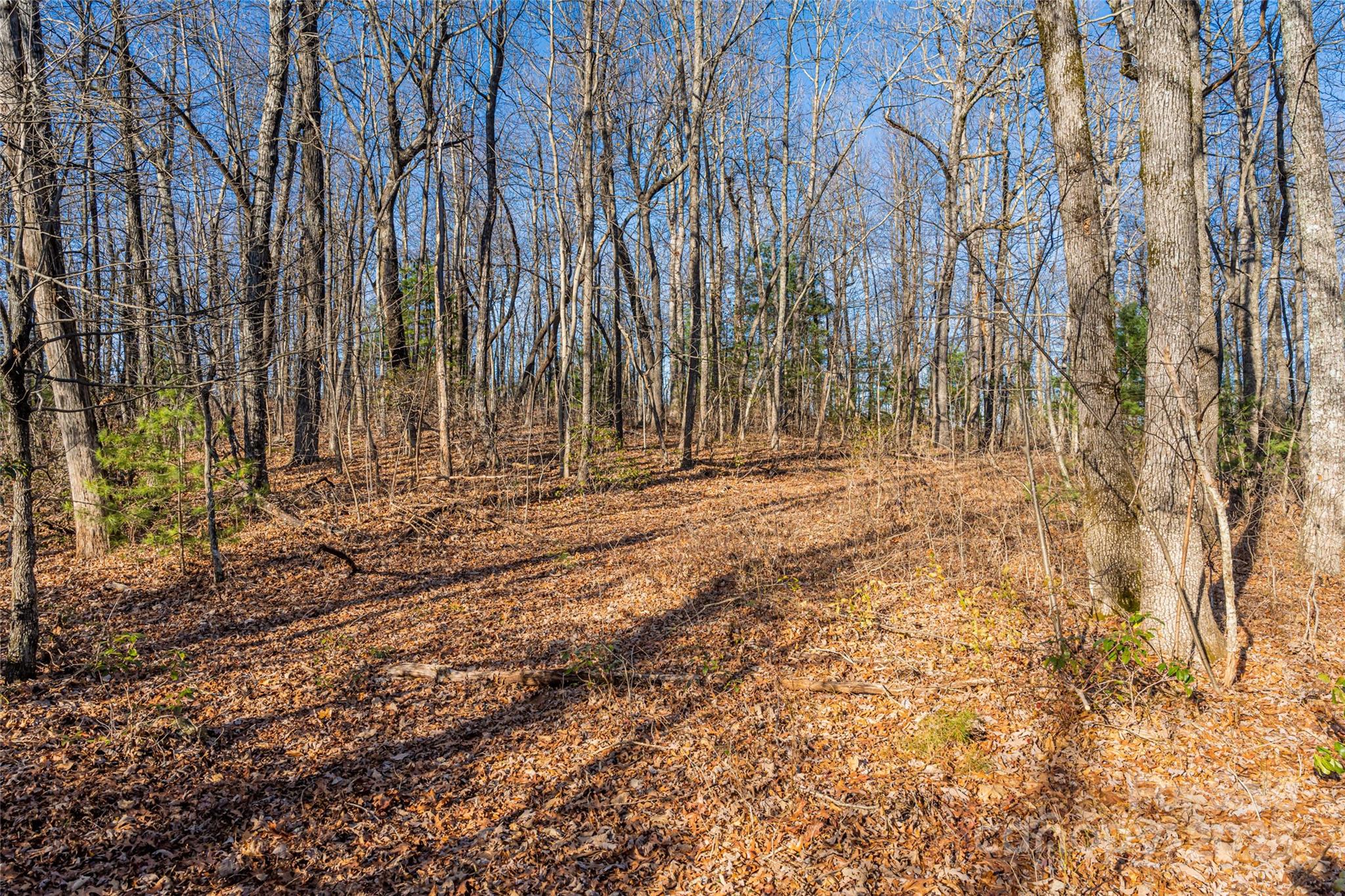 167 Shoal Creek Road 22 Property Photo 14