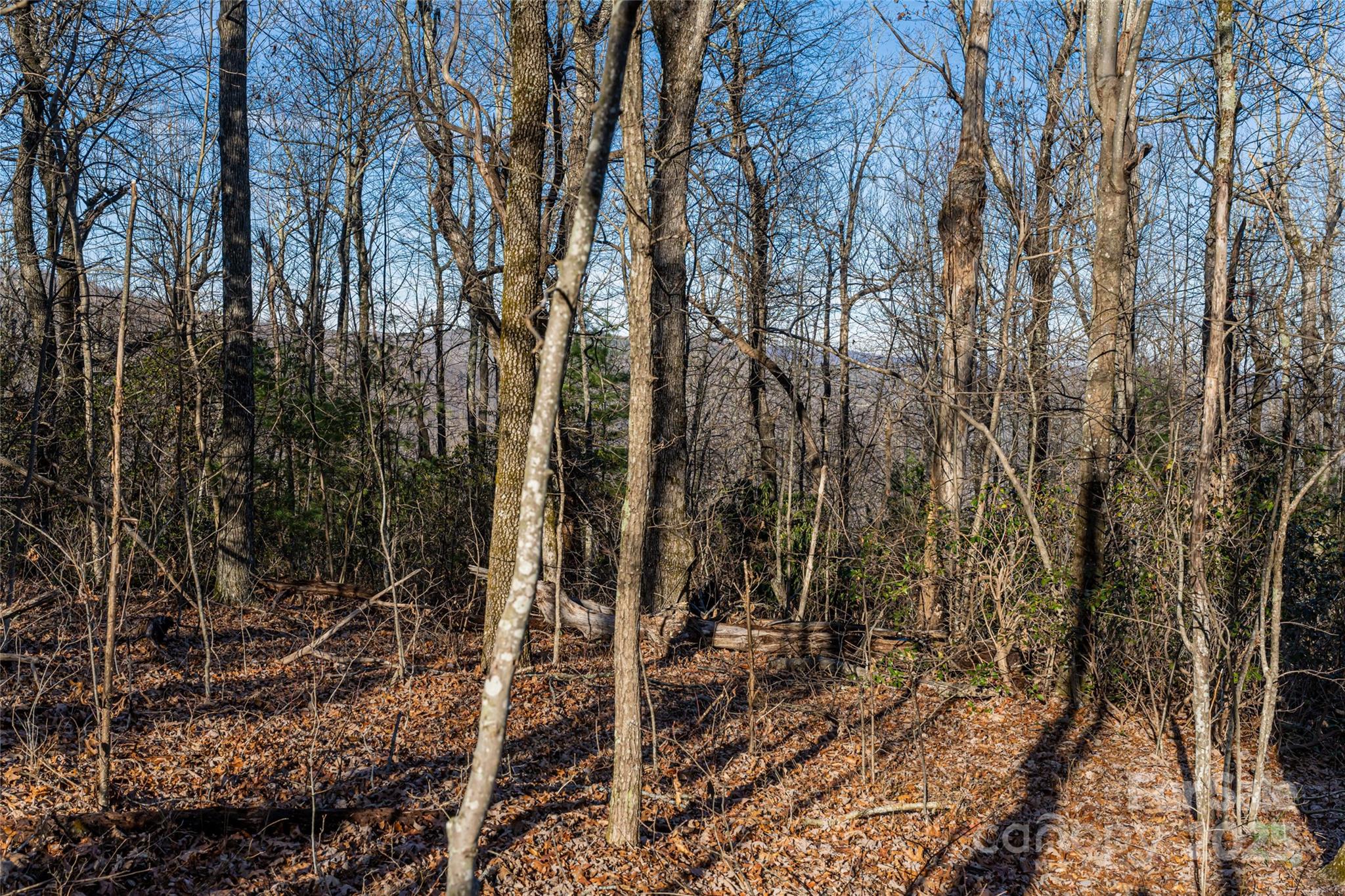 167 Shoal Creek Road 22 Property Photo 15