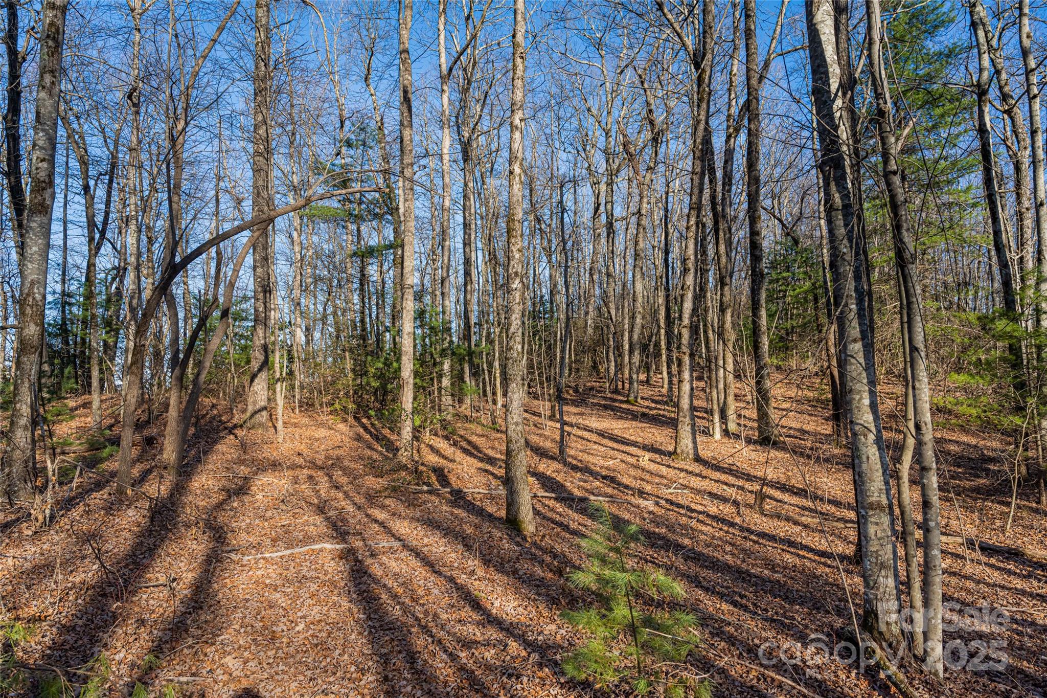 167 Shoal Creek Road 22 Property Photo 16