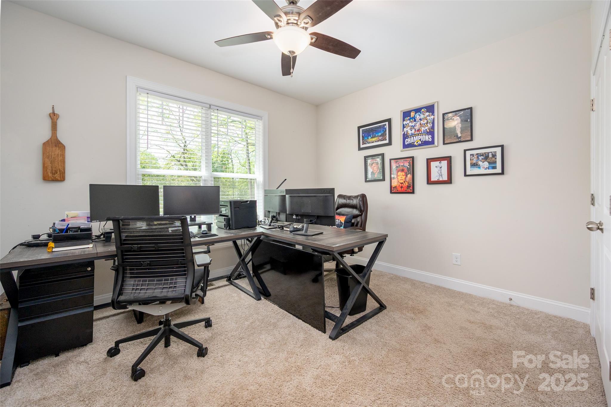 8209 Bella Vista Court Property Photo 27