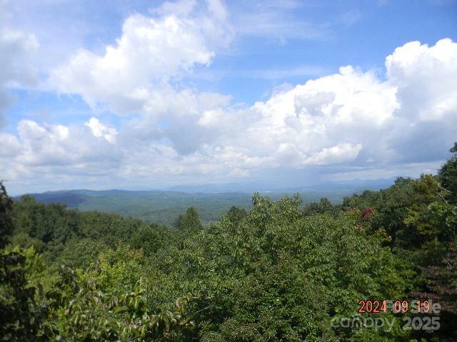 7866 Pinnacle Mountain Road 3 & 4 Property Photo
