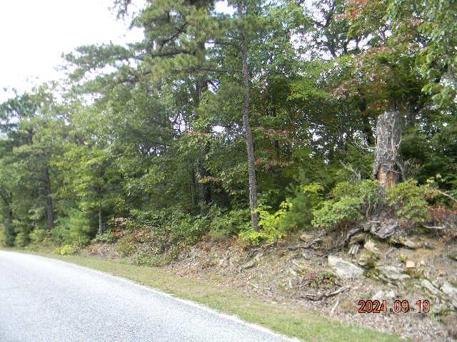 7866 Pinnacle Mountain Road 3 & 4 Property Photo 3