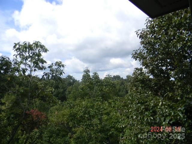7866 Pinnacle Mountain Road 3 & 4 Property Photo 5