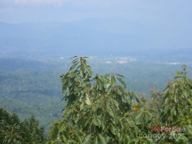 7866 Pinnacle Mountain Road 3 & 4 Property Photo 6