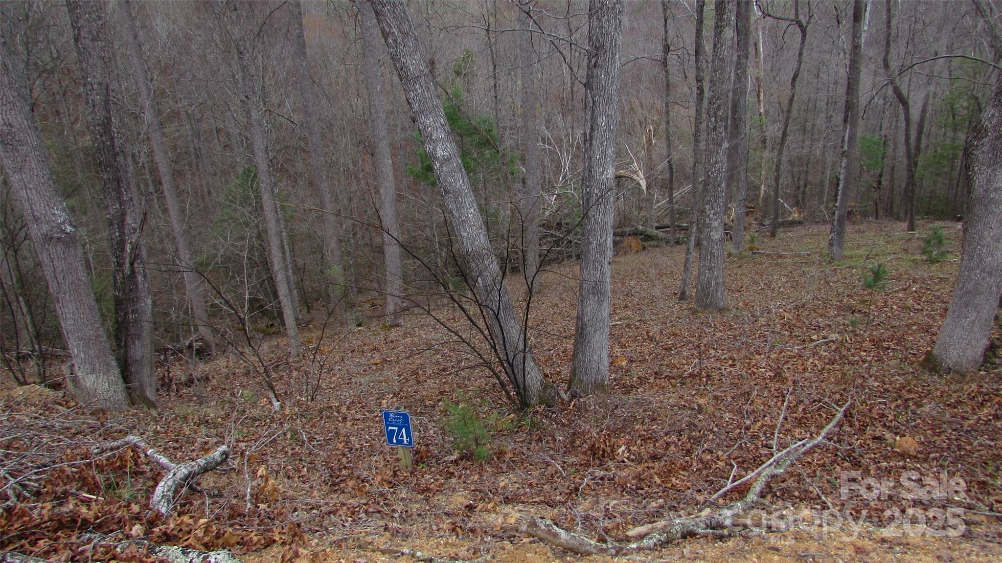 #74 Falling Water Drive Property Photo 2
