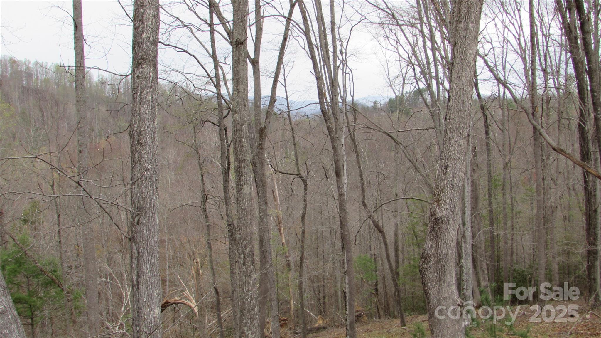 #74 Falling Water Drive Property Photo 3