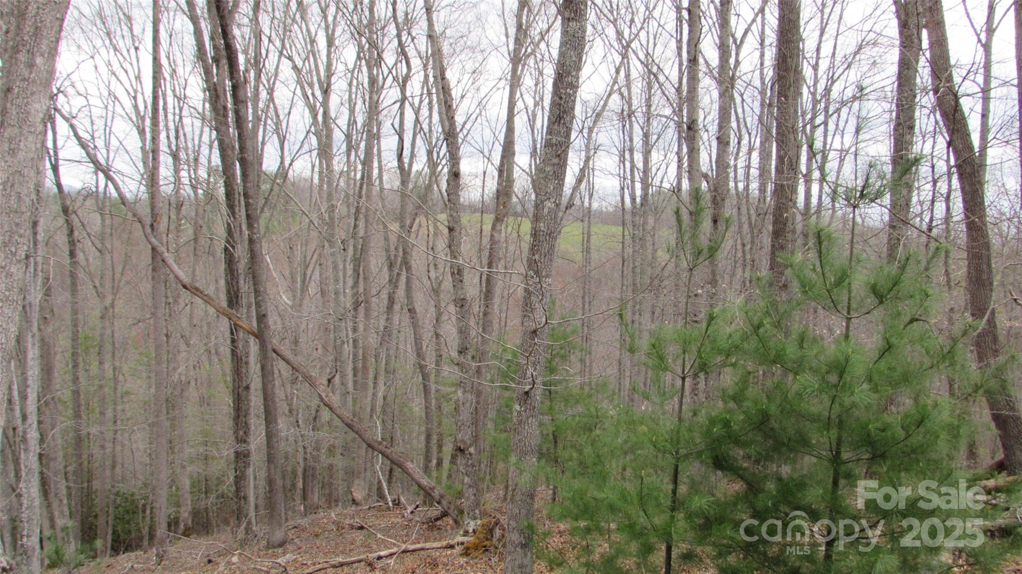 #74 Falling Water Drive Property Photo 4