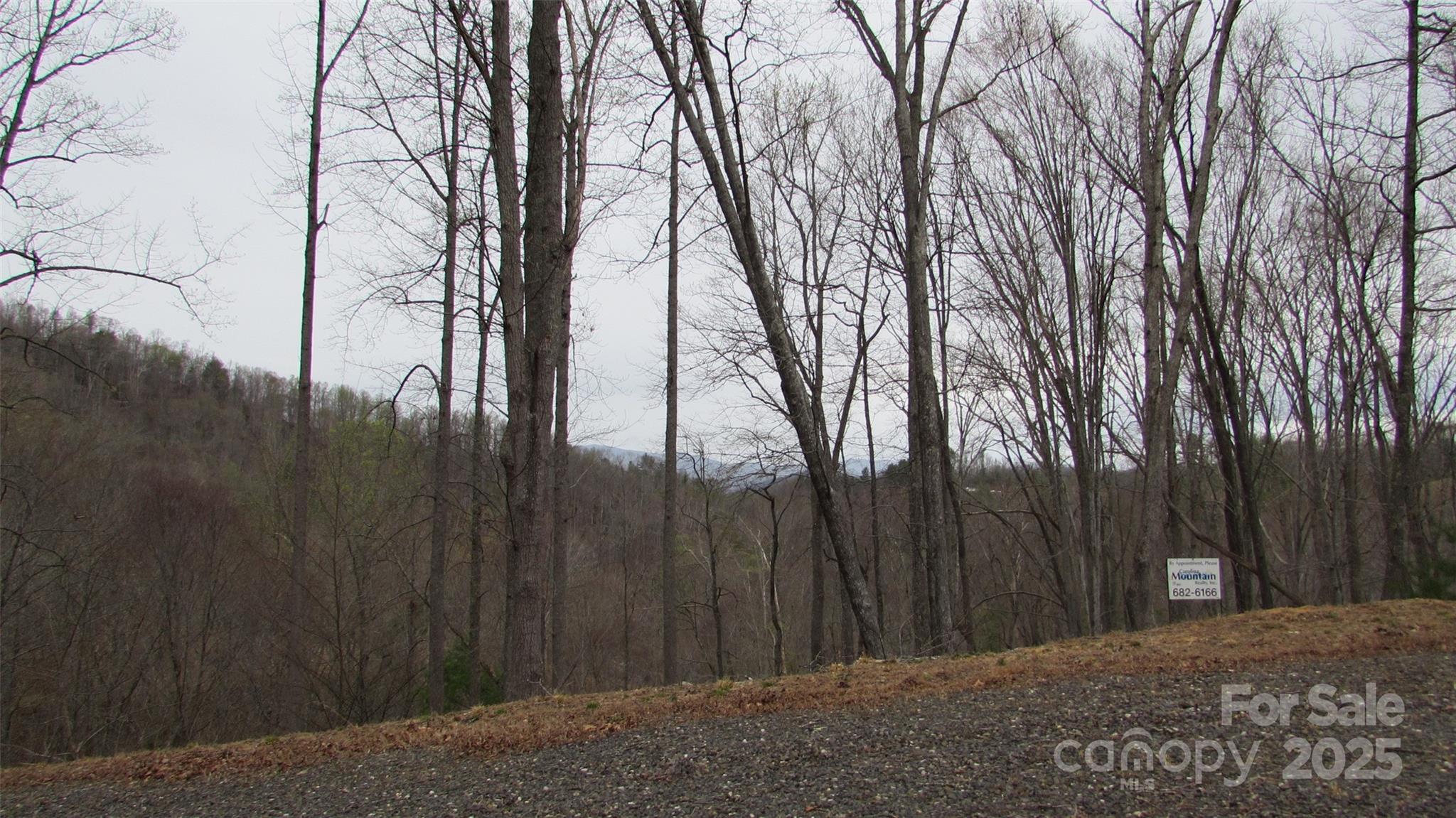 #74 Falling Water Drive Property Photo 5