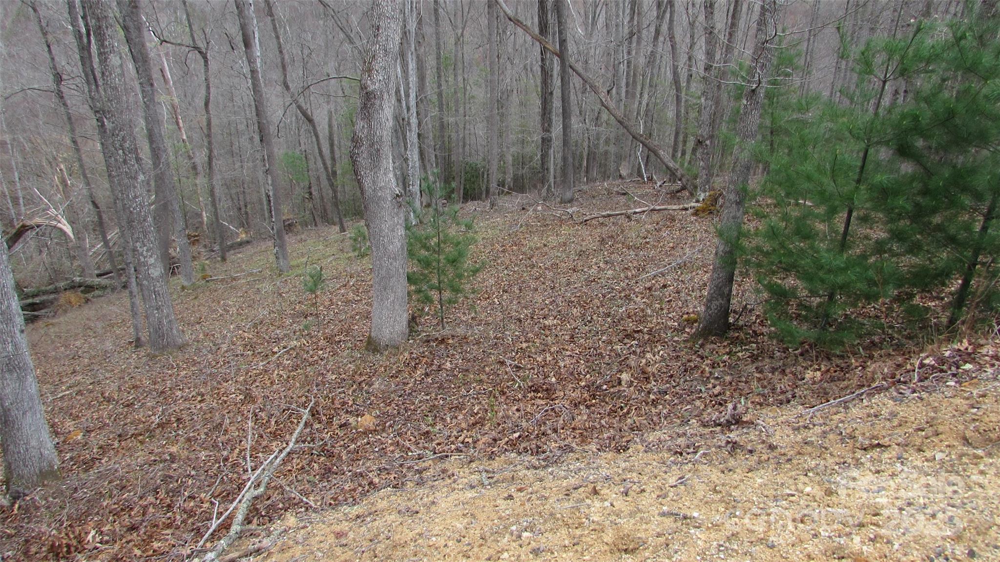 #74 Falling Water Drive Property Photo 6