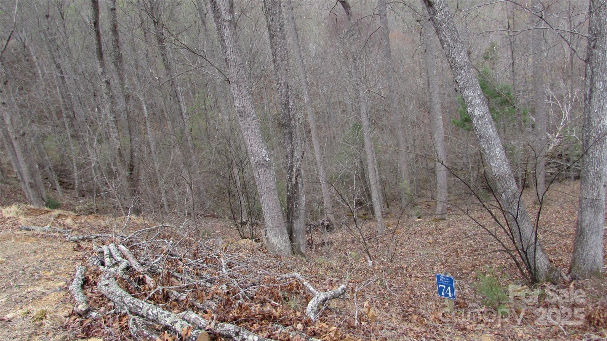 #74 Falling Water Drive Property Photo 7