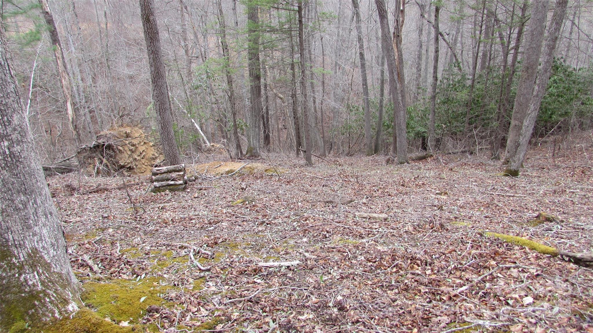 #74 Falling Water Drive Property Photo 8