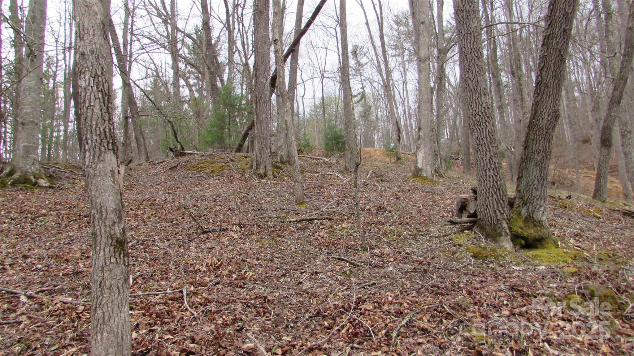 #74 Falling Water Drive Property Photo 9