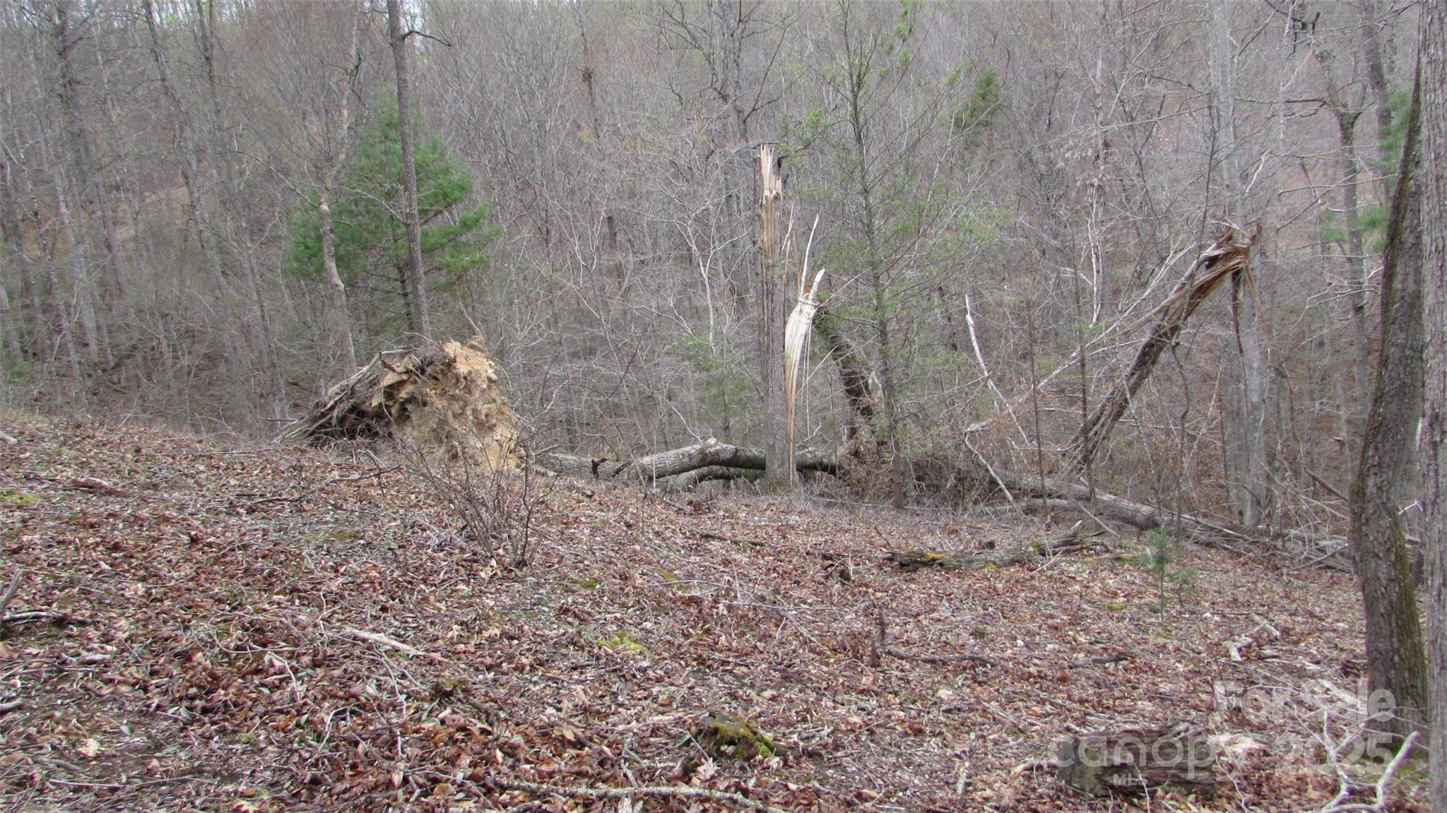 #74 Falling Water Drive Property Photo 10