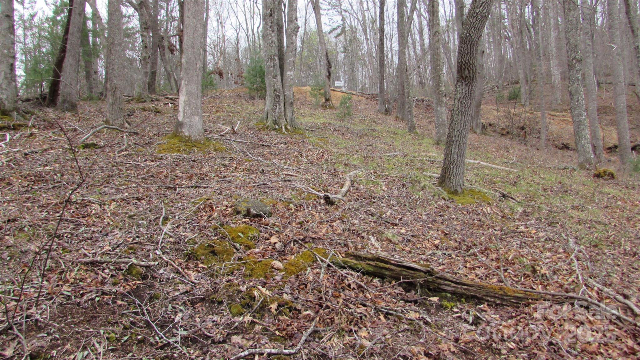 #74 Falling Water Drive Property Photo 11