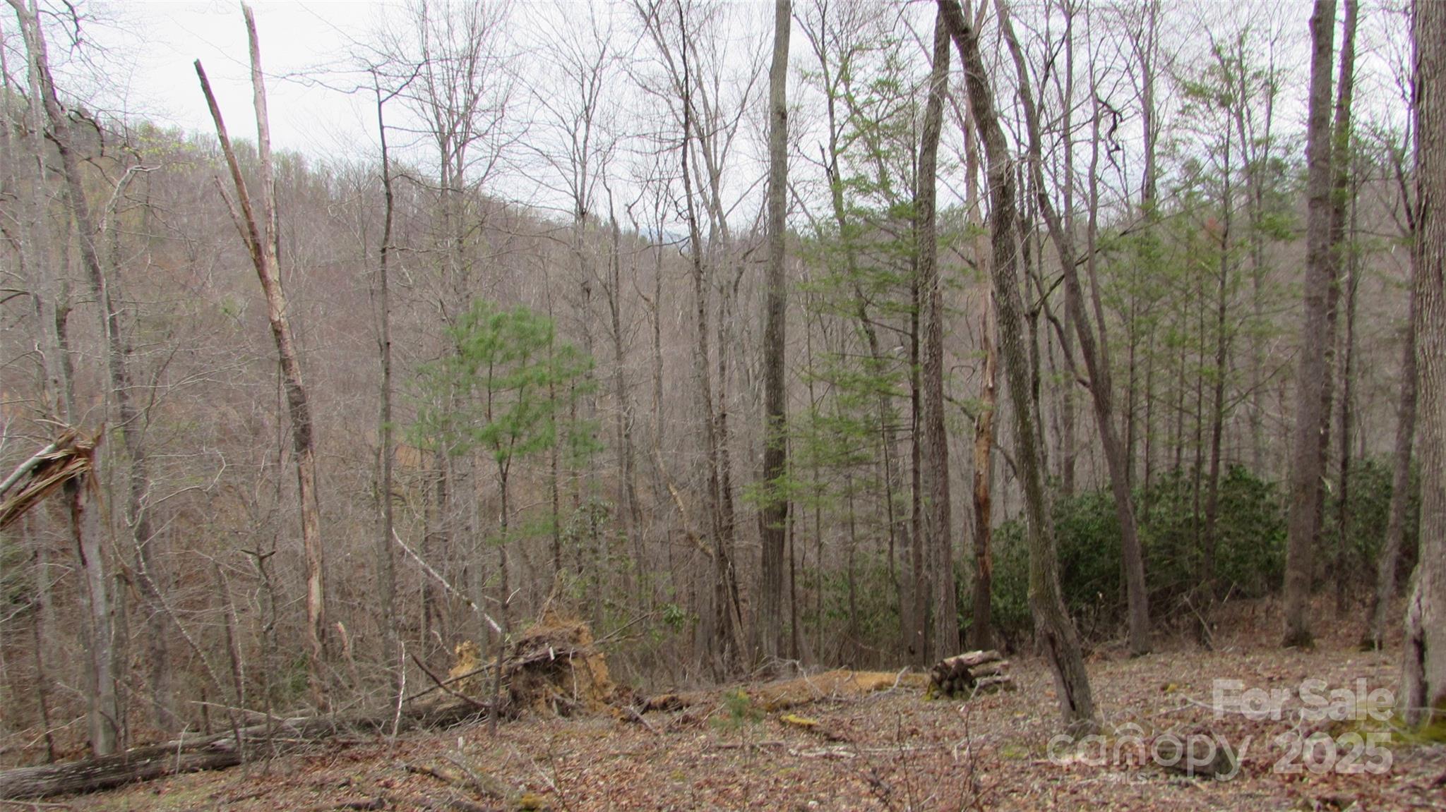 #74 Falling Water Drive Property Photo 12