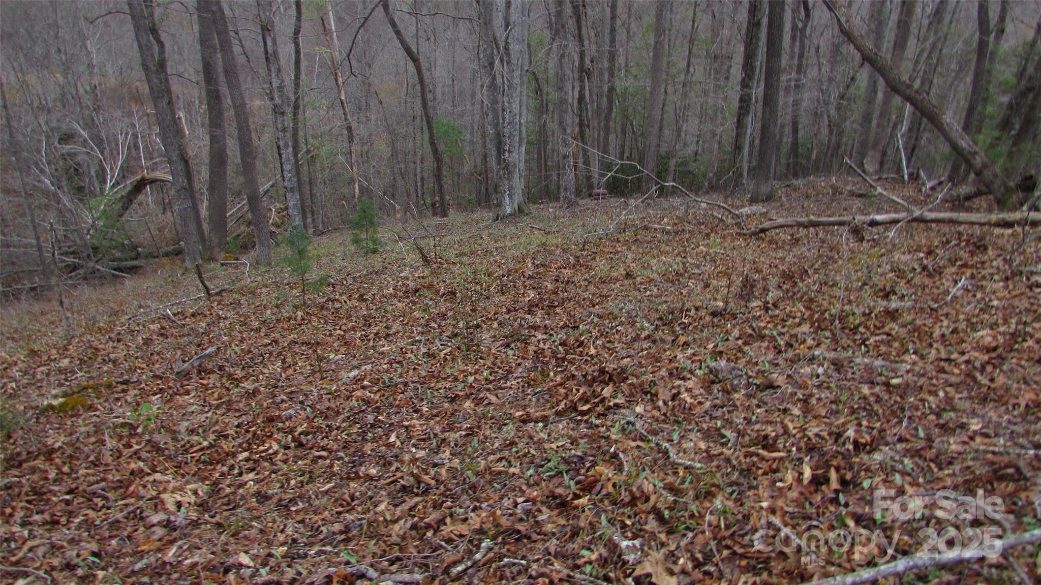 #74 Falling Water Drive Property Photo 13