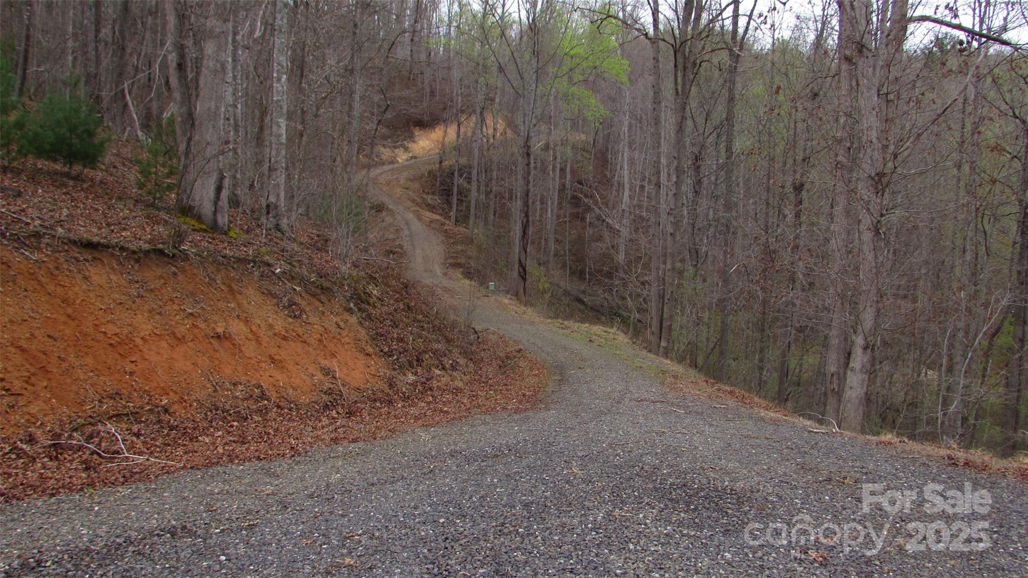 #74 Falling Water Drive Property Photo 15