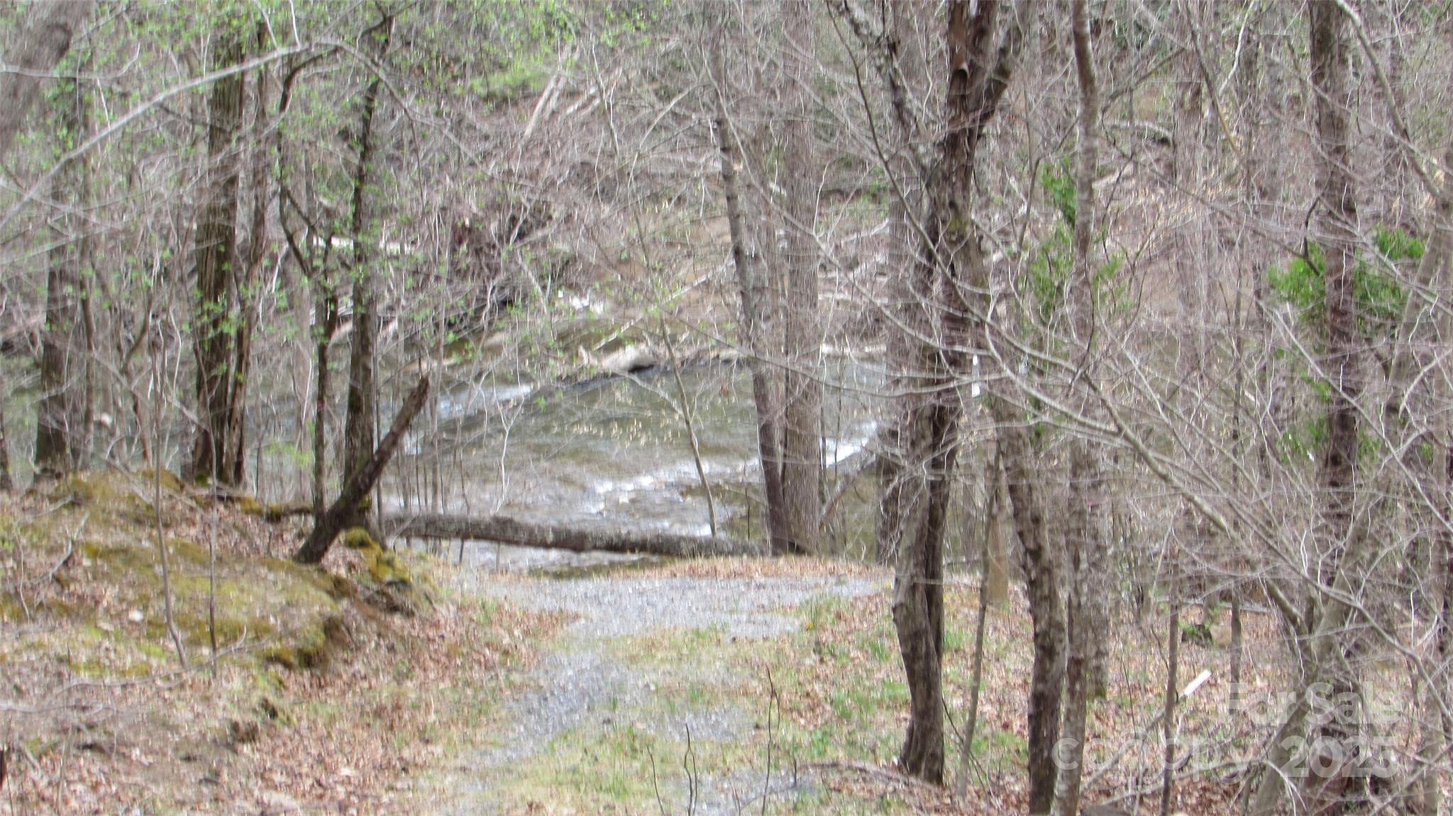 #74 Falling Water Drive Property Photo 17