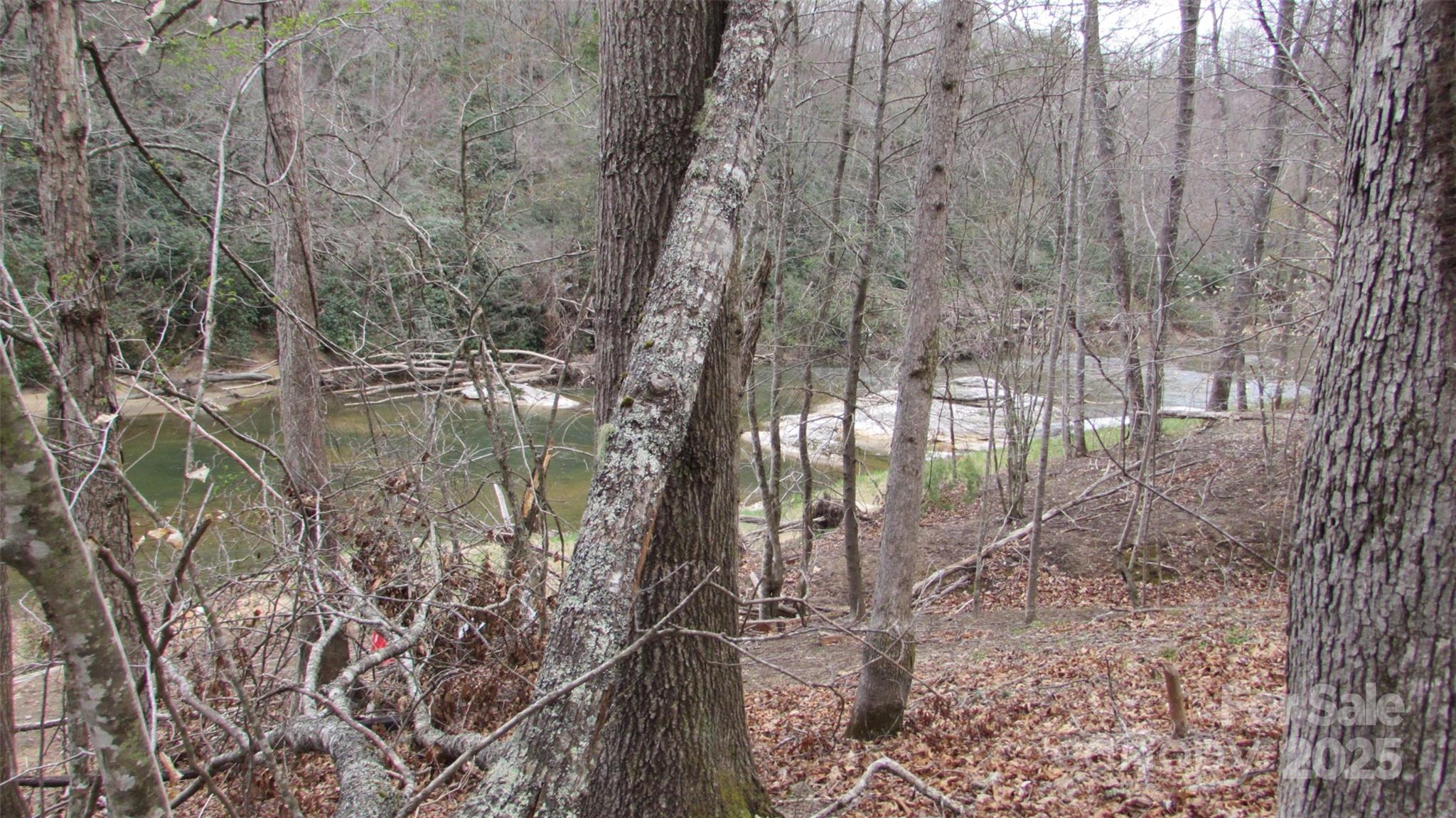 #74 Falling Water Drive Property Photo 21