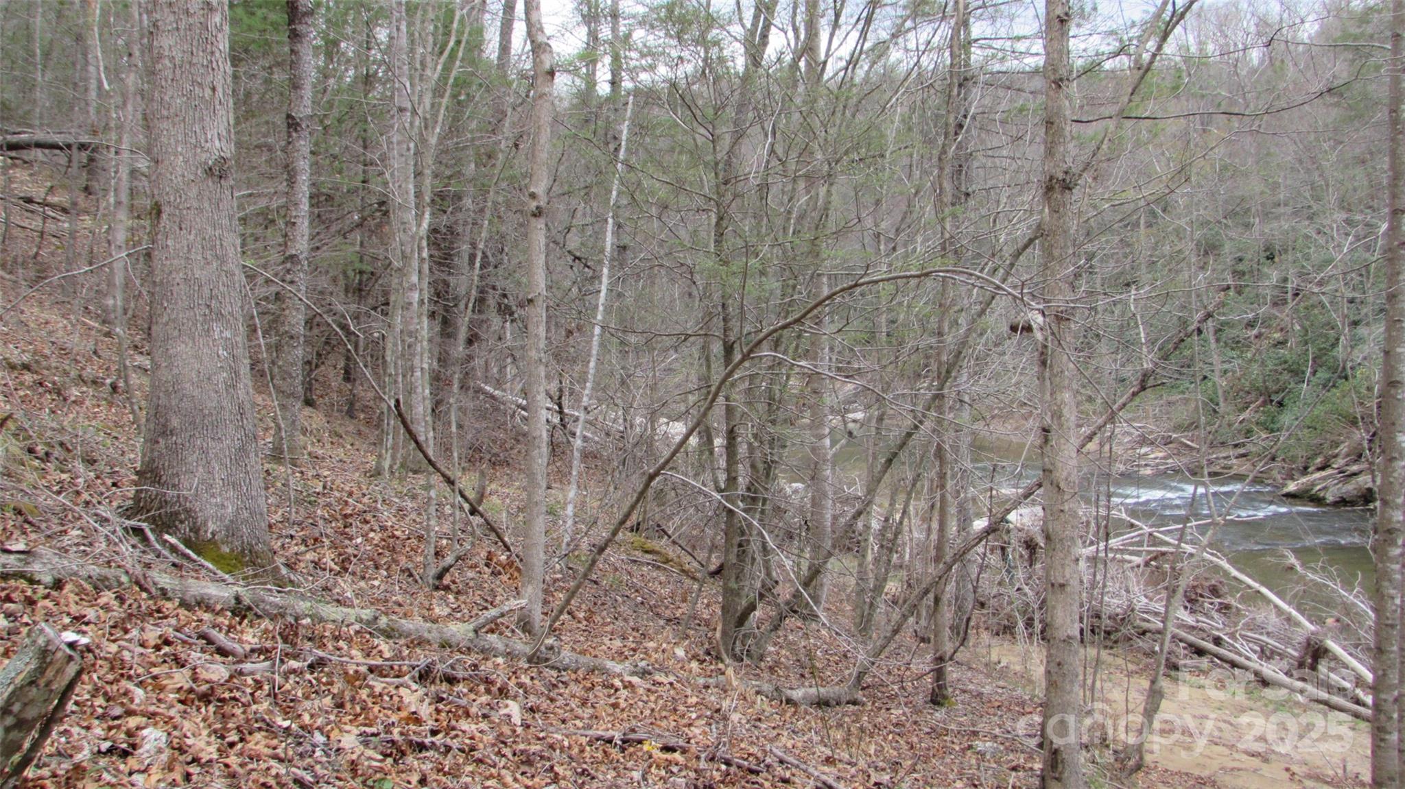 #74 Falling Water Drive Property Photo 23