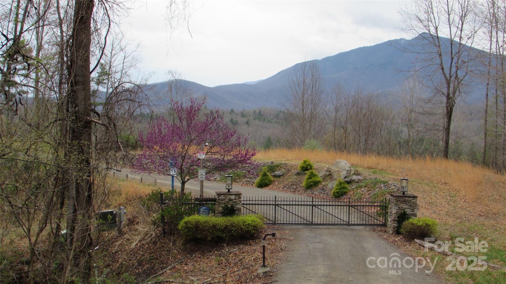 #74 Falling Water Drive Property Photo 24