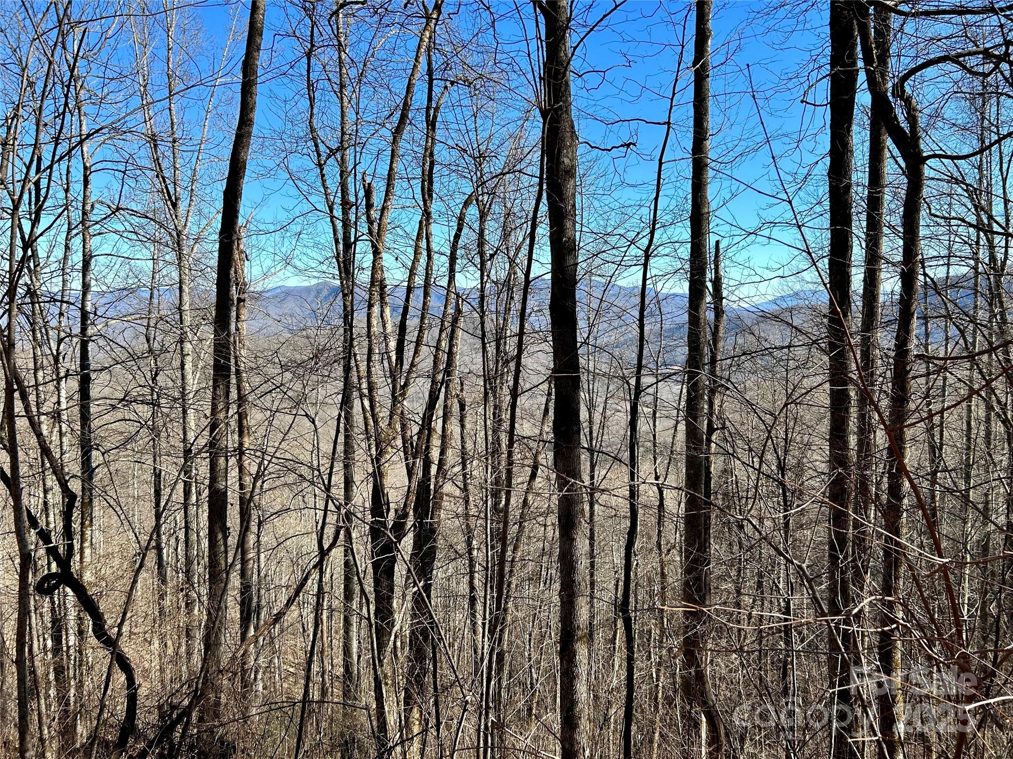 0 Maltese Way 25 Property Photo 2