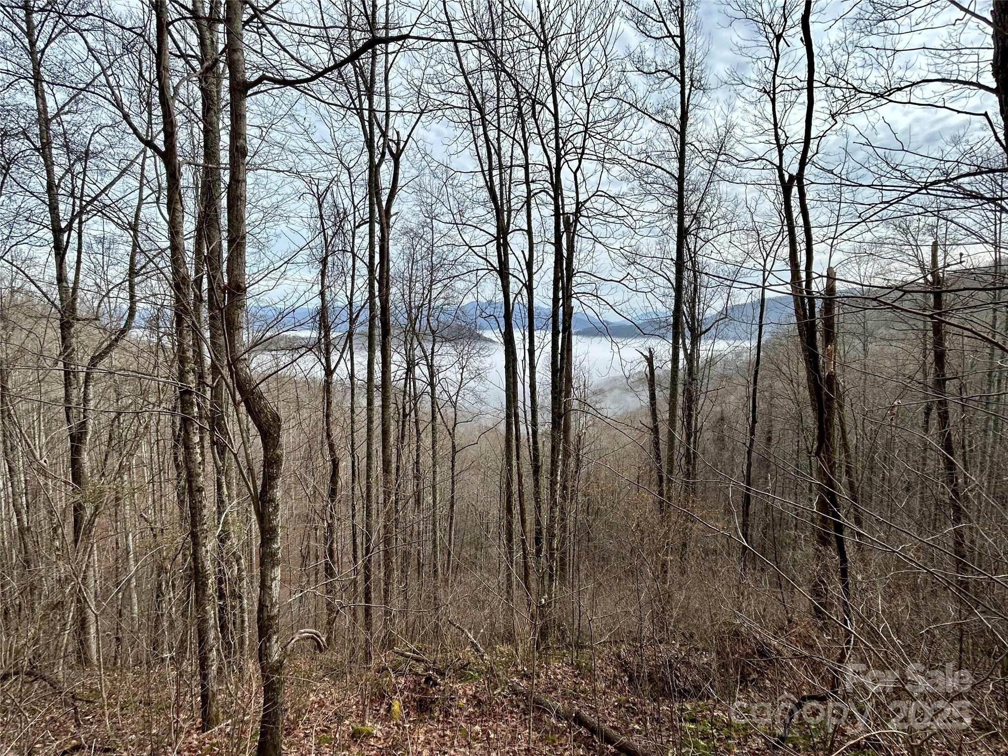 0 Maltese Way 25 Property Photo 3