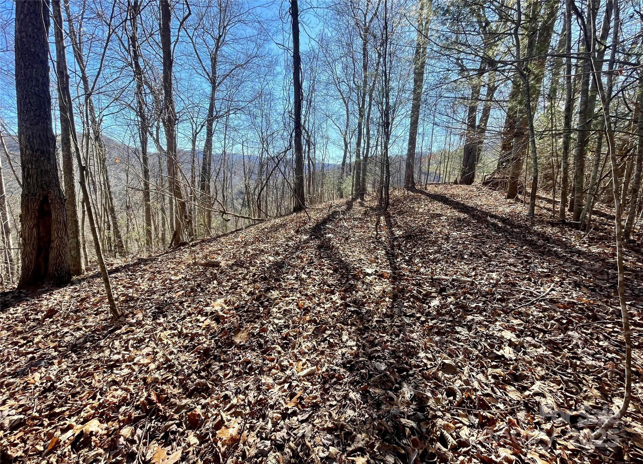 0 Mcpeters Lane Property Photo 3