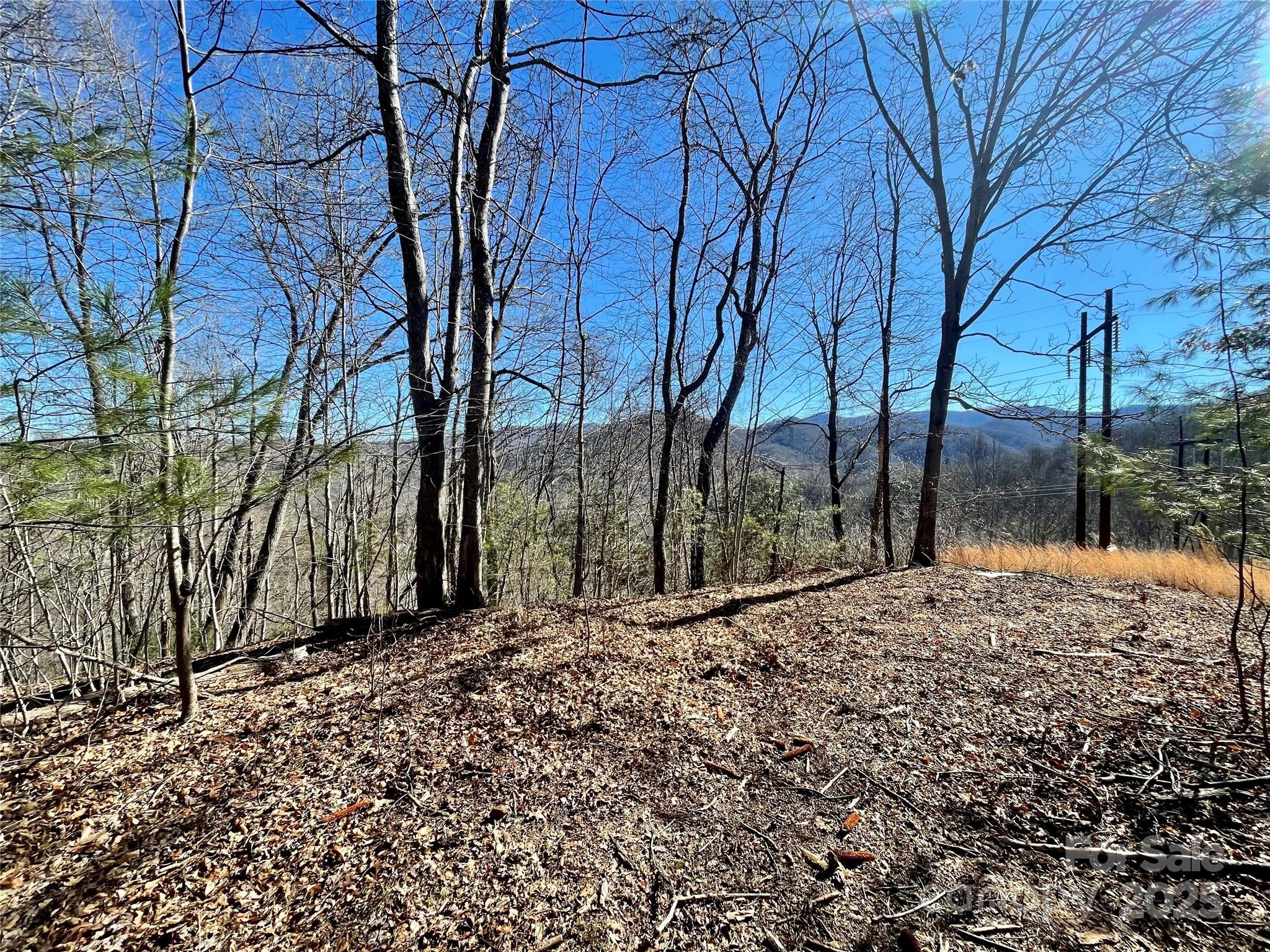 0 Mcpeters Lane Property Photo 5