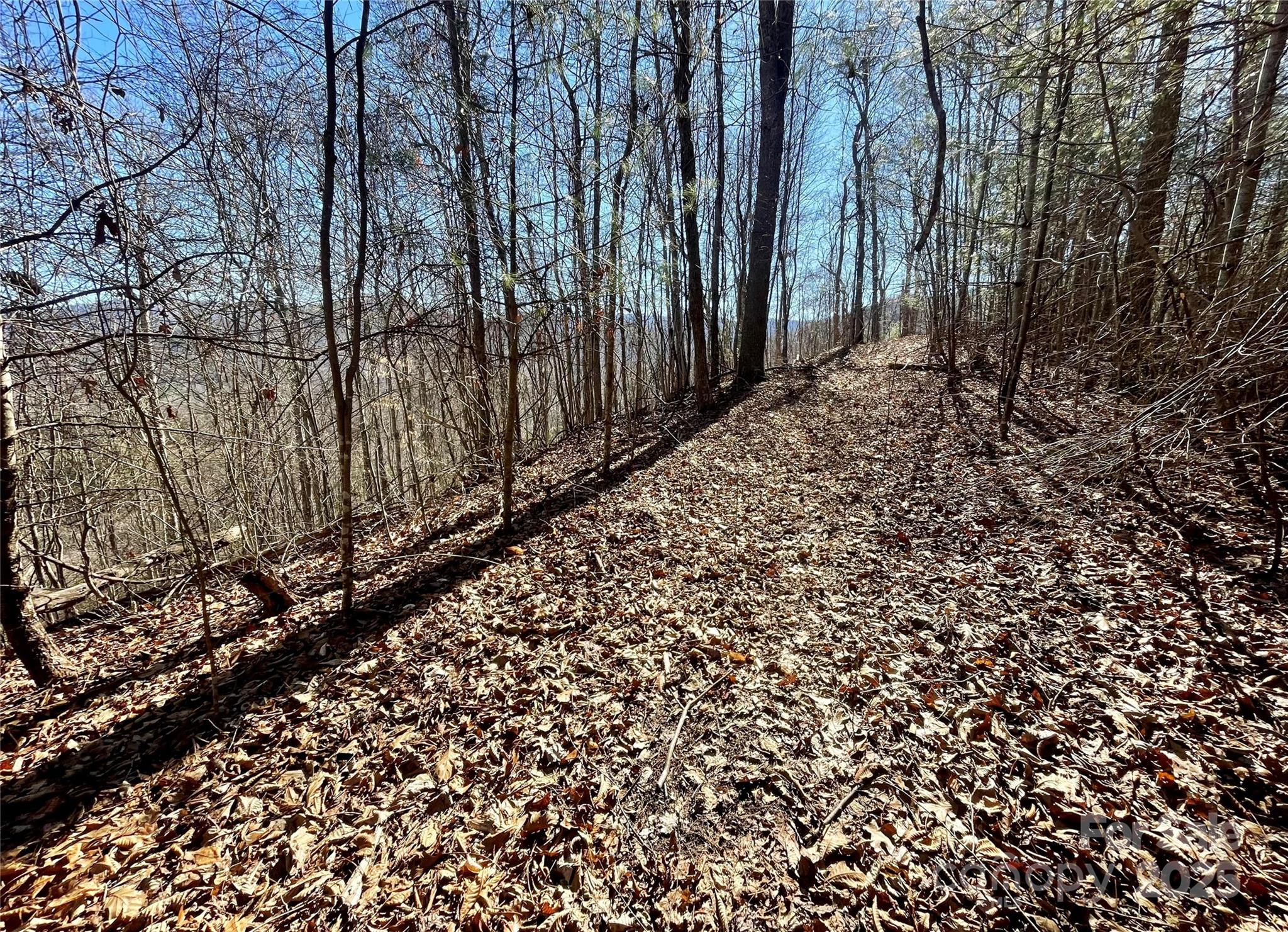 0 Mcpeters Lane Property Photo 6