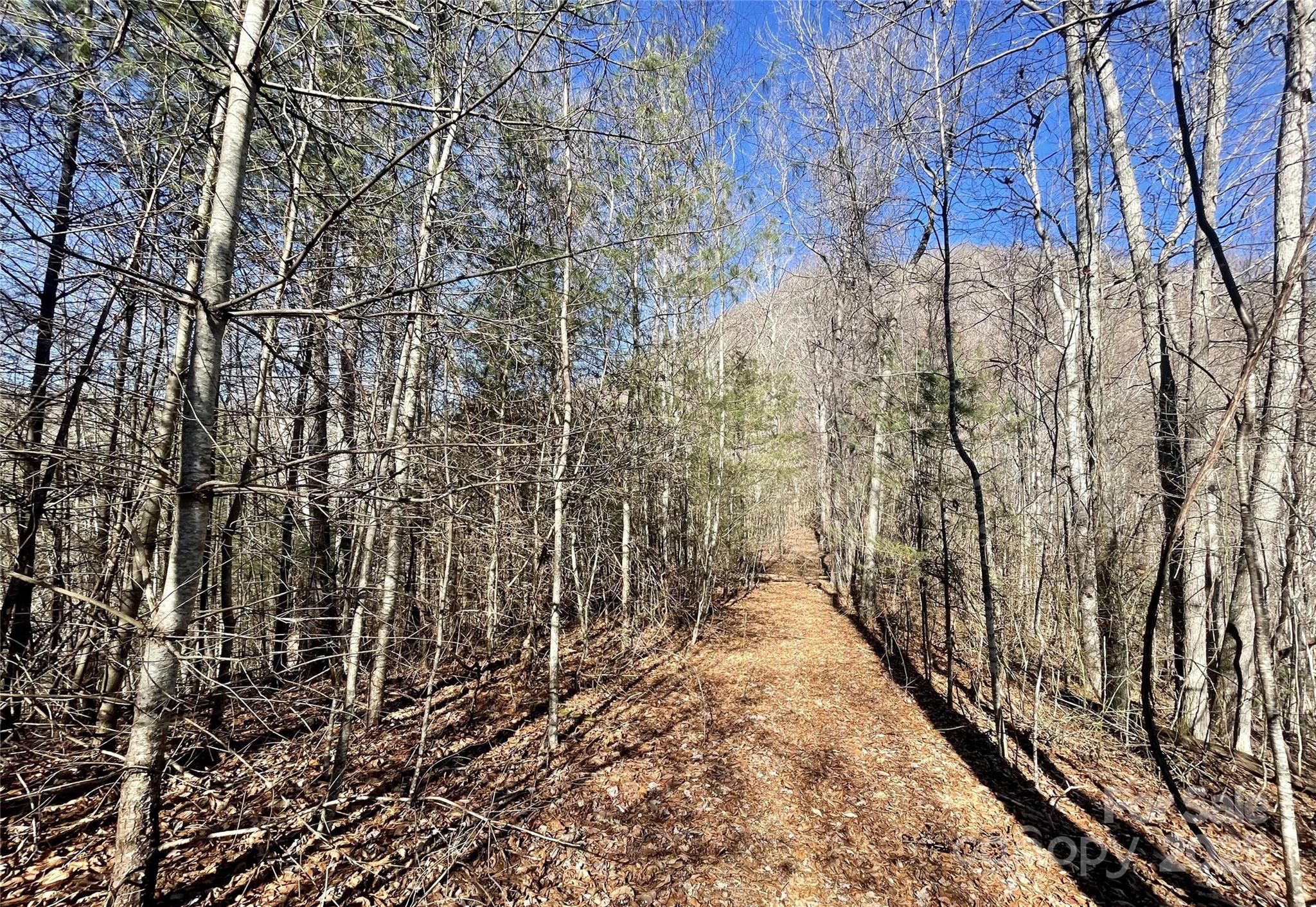 0 Mcpeters Lane Property Photo 7