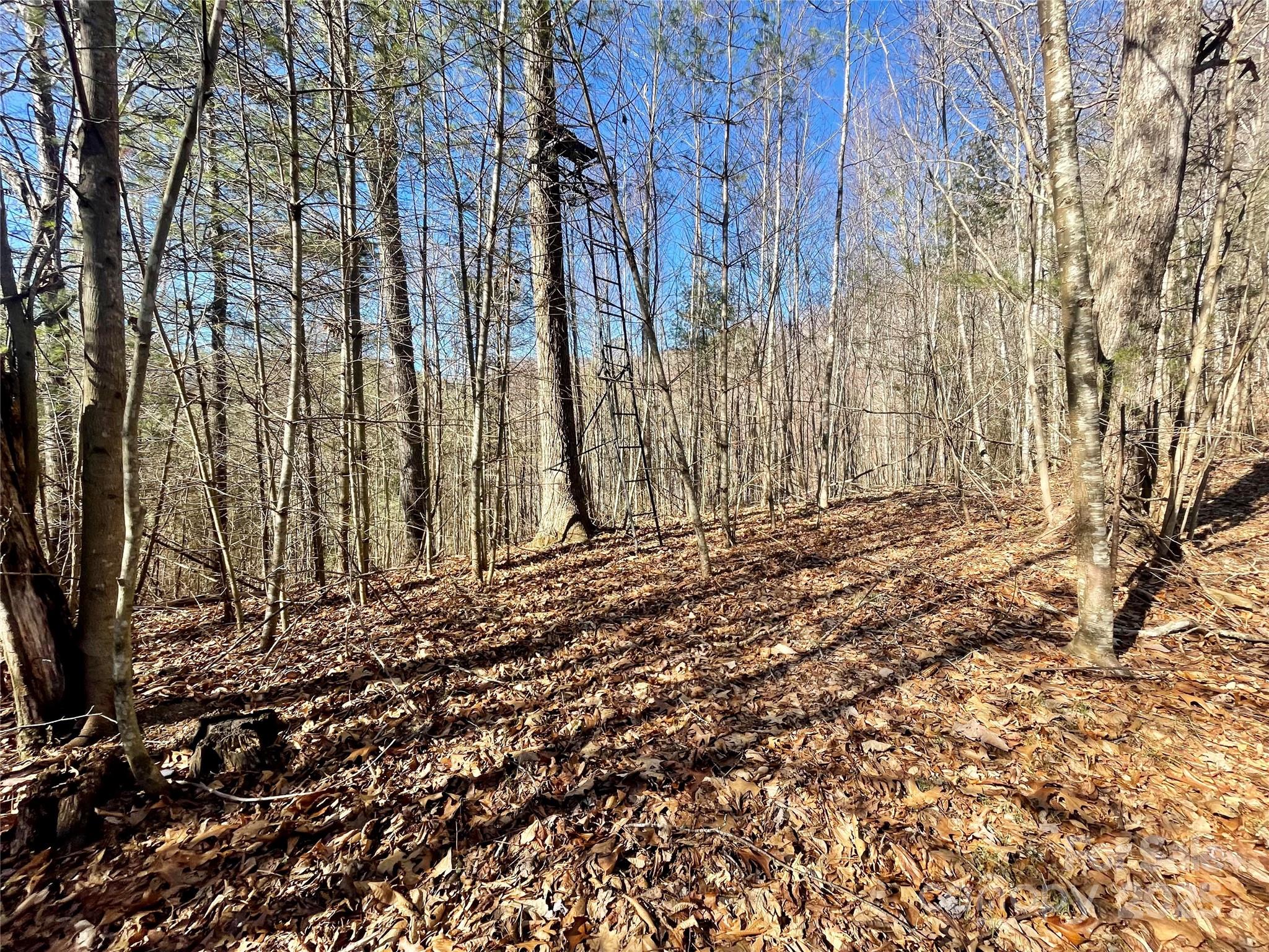 0 Mcpeters Lane Property Photo 8