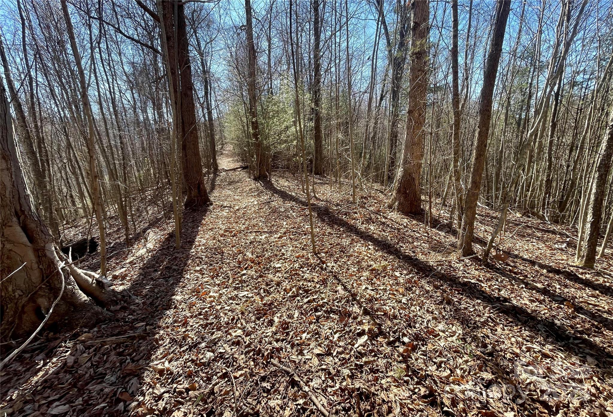 0 Mcpeters Lane Property Photo 9