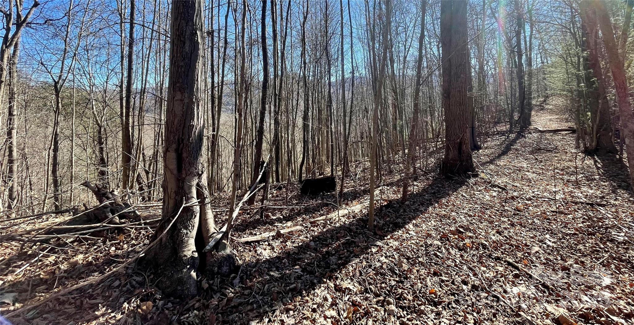 0 Mcpeters Lane Property Photo 10