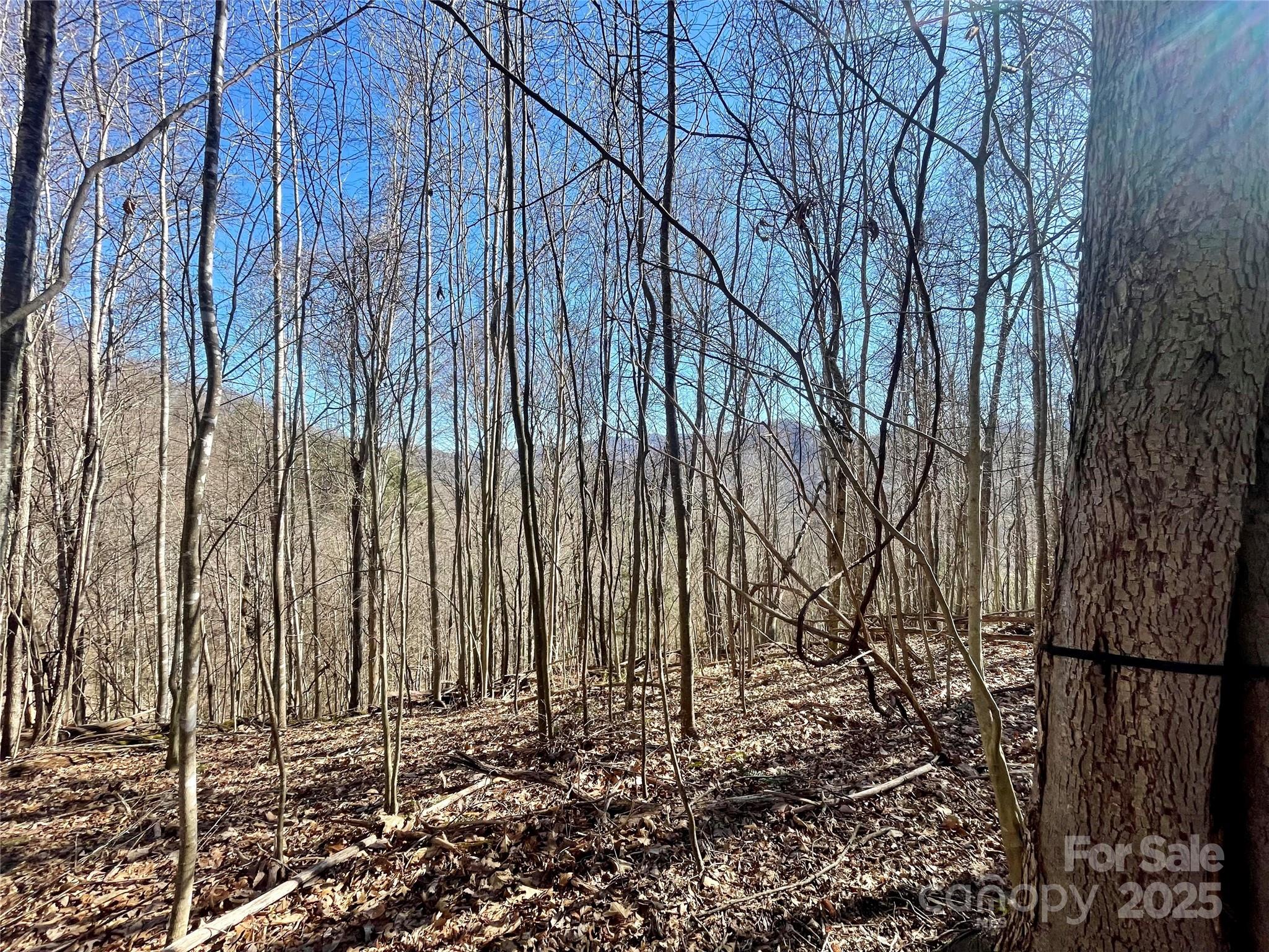 0 Mcpeters Lane Property Photo 11