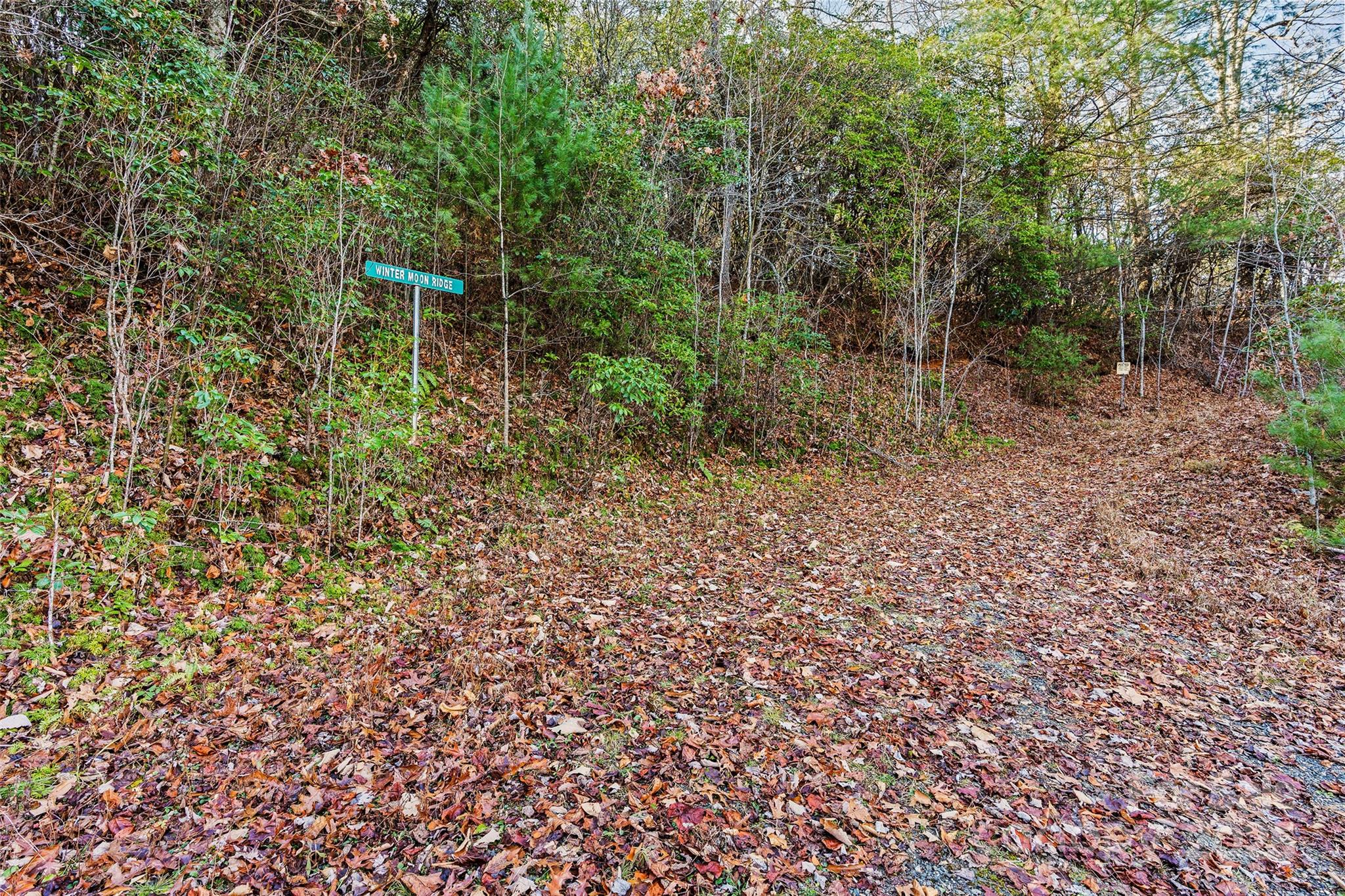 69 & 81 Winter Moon Ridge Property Photo 2