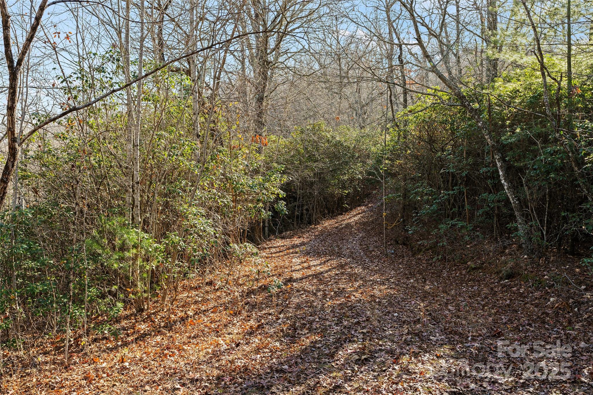69 & 81 Winter Moon Ridge Property Photo 3