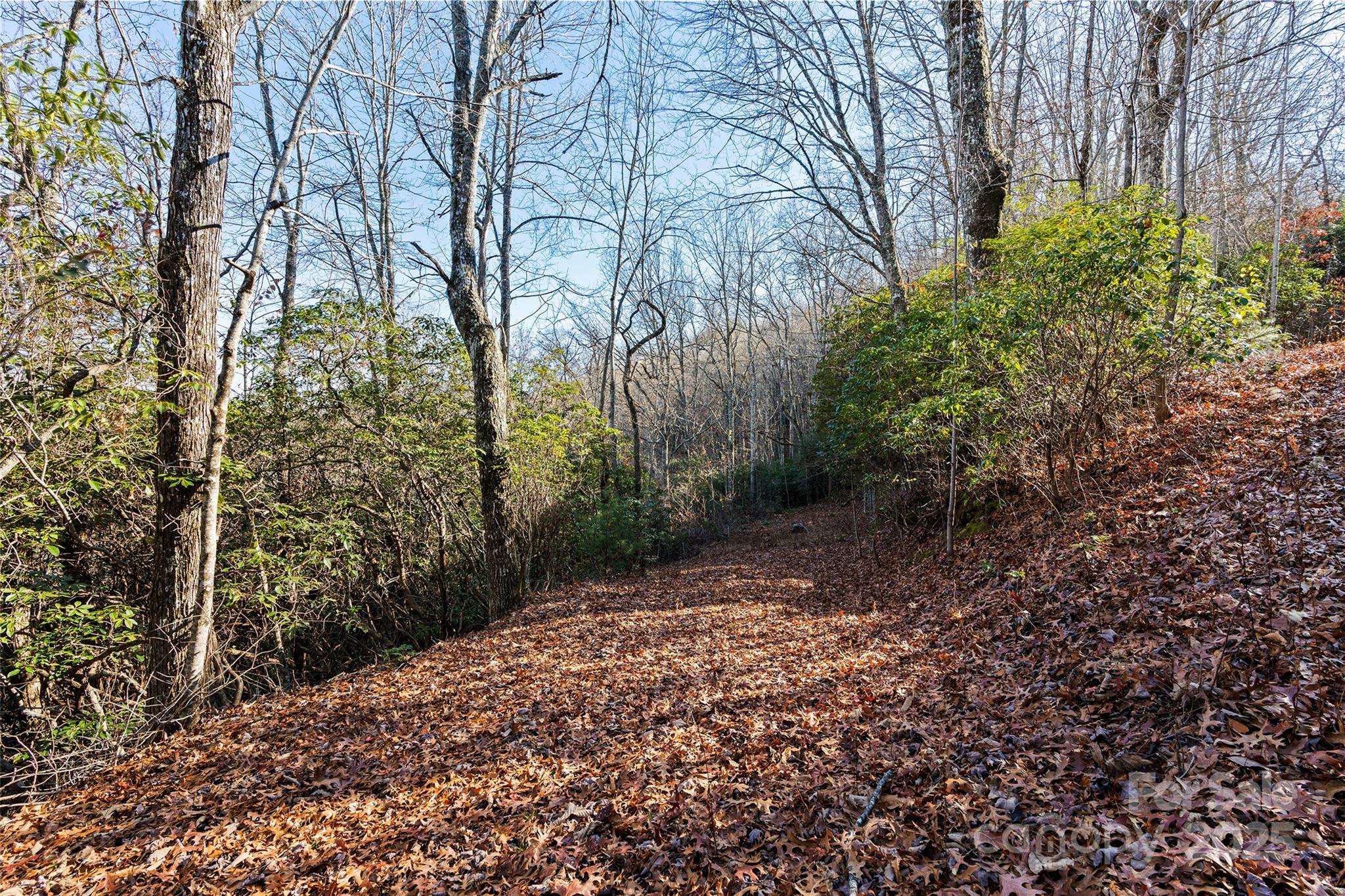 69 & 81 Winter Moon Ridge Property Photo 4