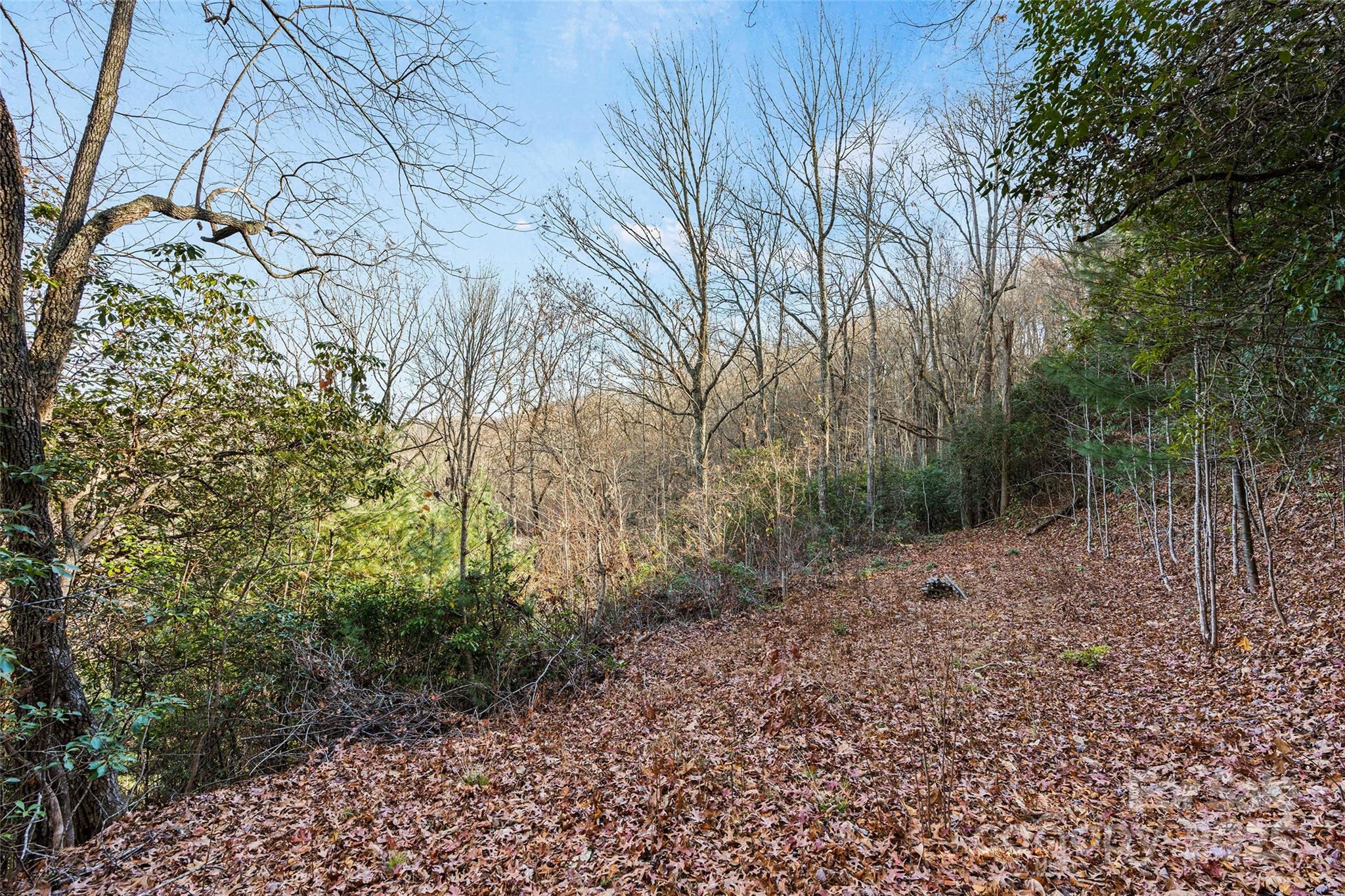 69 & 81 Winter Moon Ridge Property Photo 5