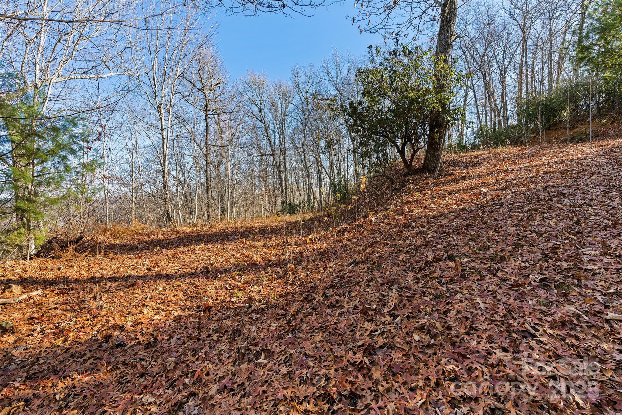 69 & 81 Winter Moon Ridge Property Photo 8