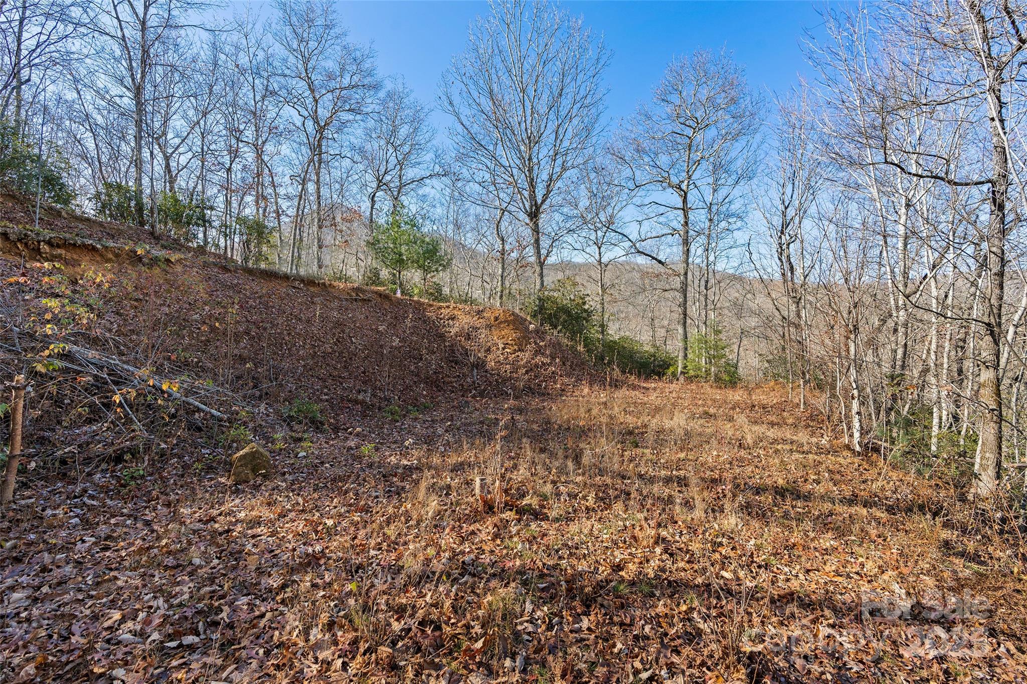 69 & 81 Winter Moon Ridge Property Photo 9