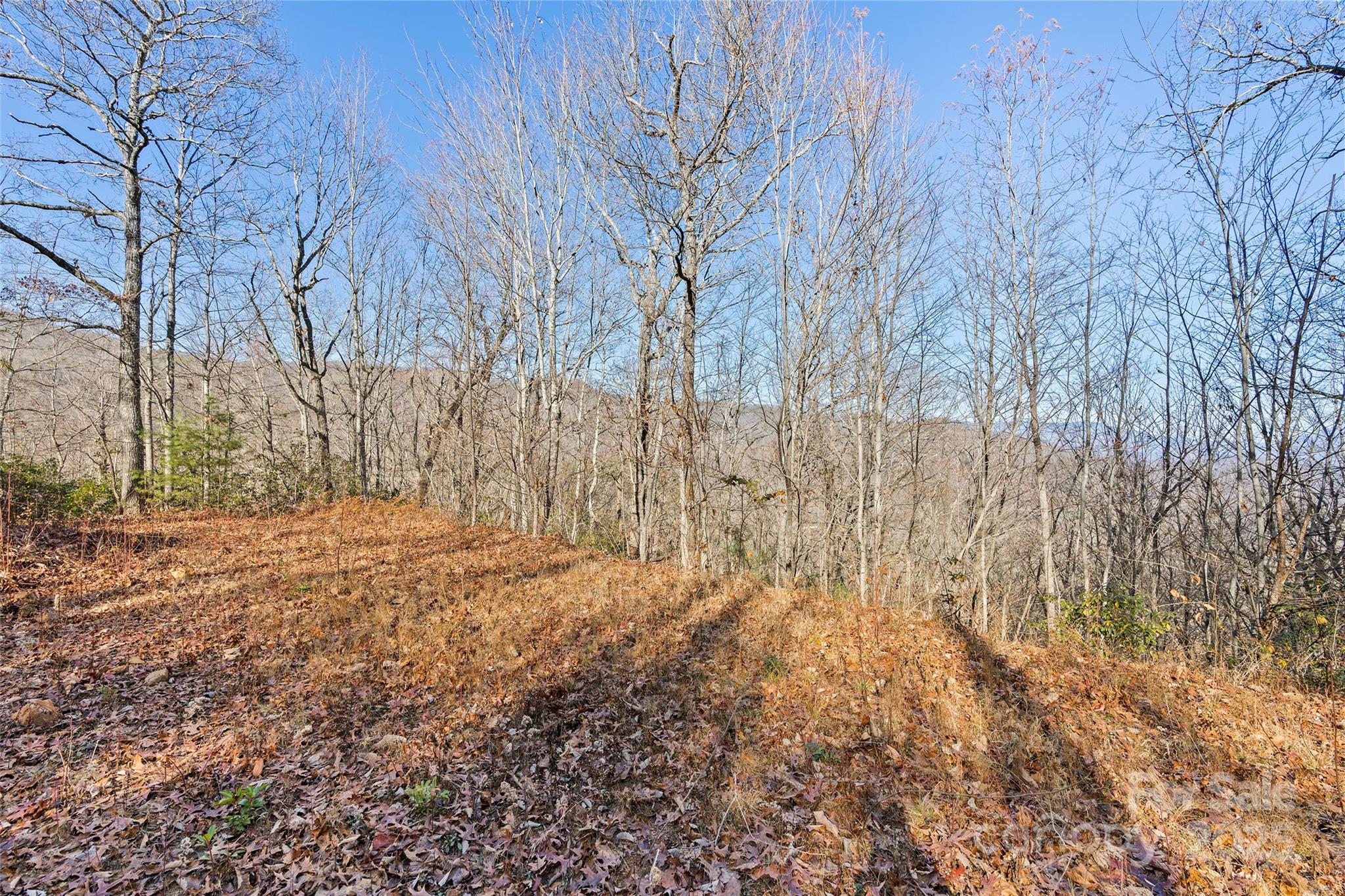 69 & 81 Winter Moon Ridge Property Photo 10