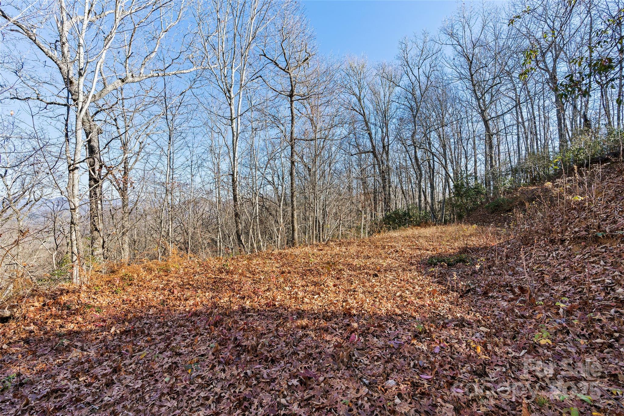 69 & 81 Winter Moon Ridge Property Photo 11