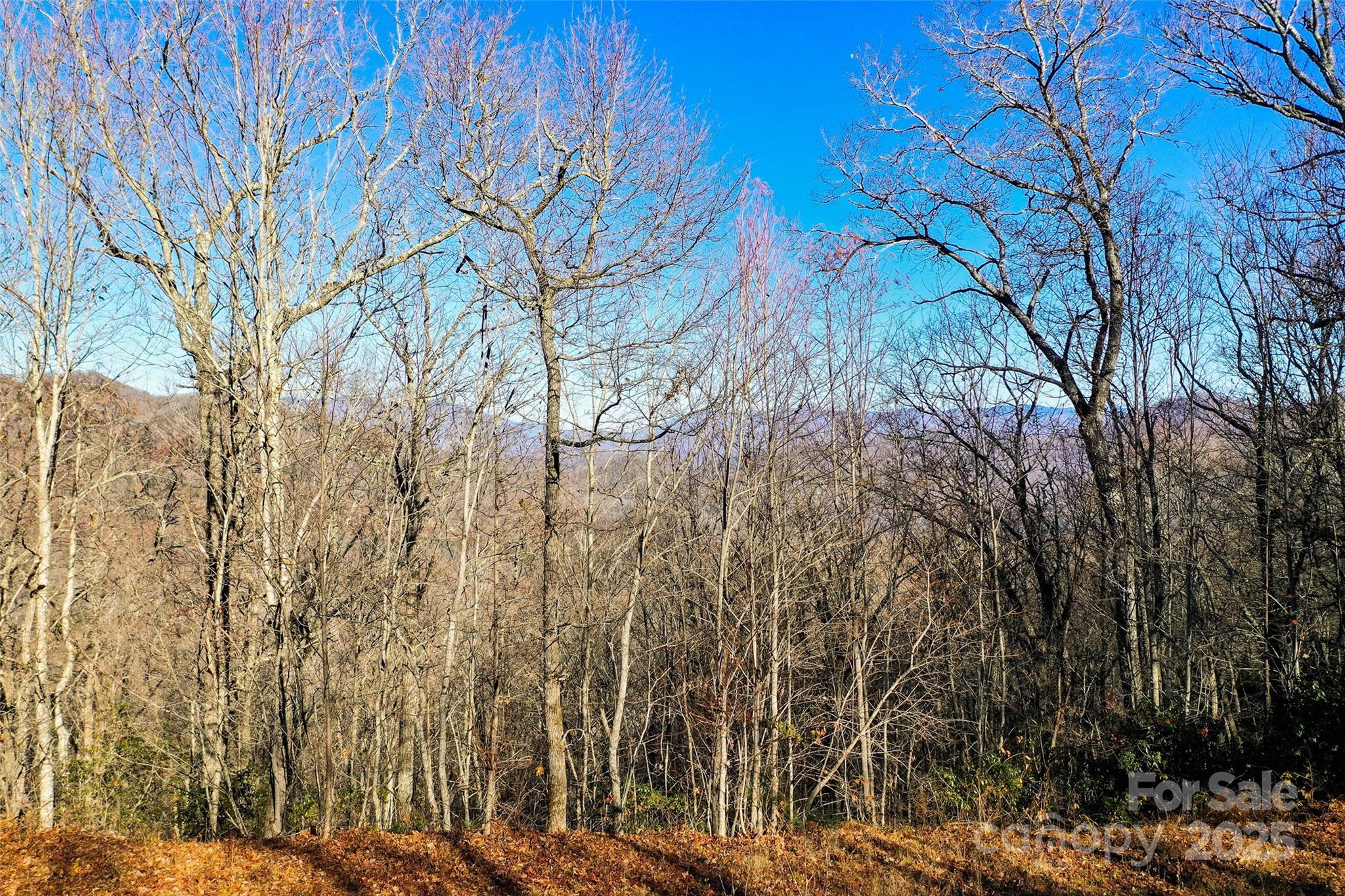 69 & 81 Winter Moon Ridge Property Photo 12