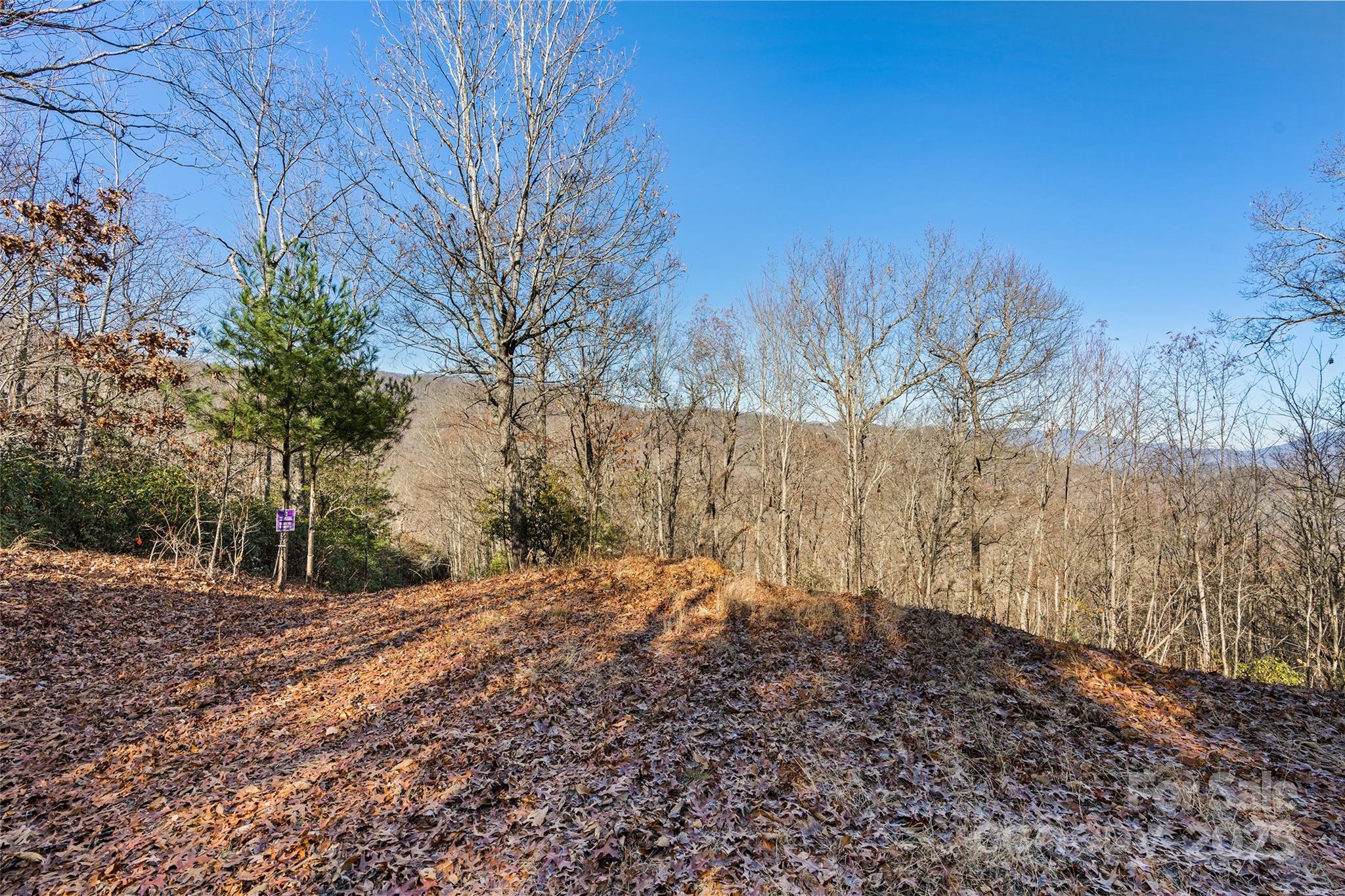 69 & 81 Winter Moon Ridge Property Photo 13
