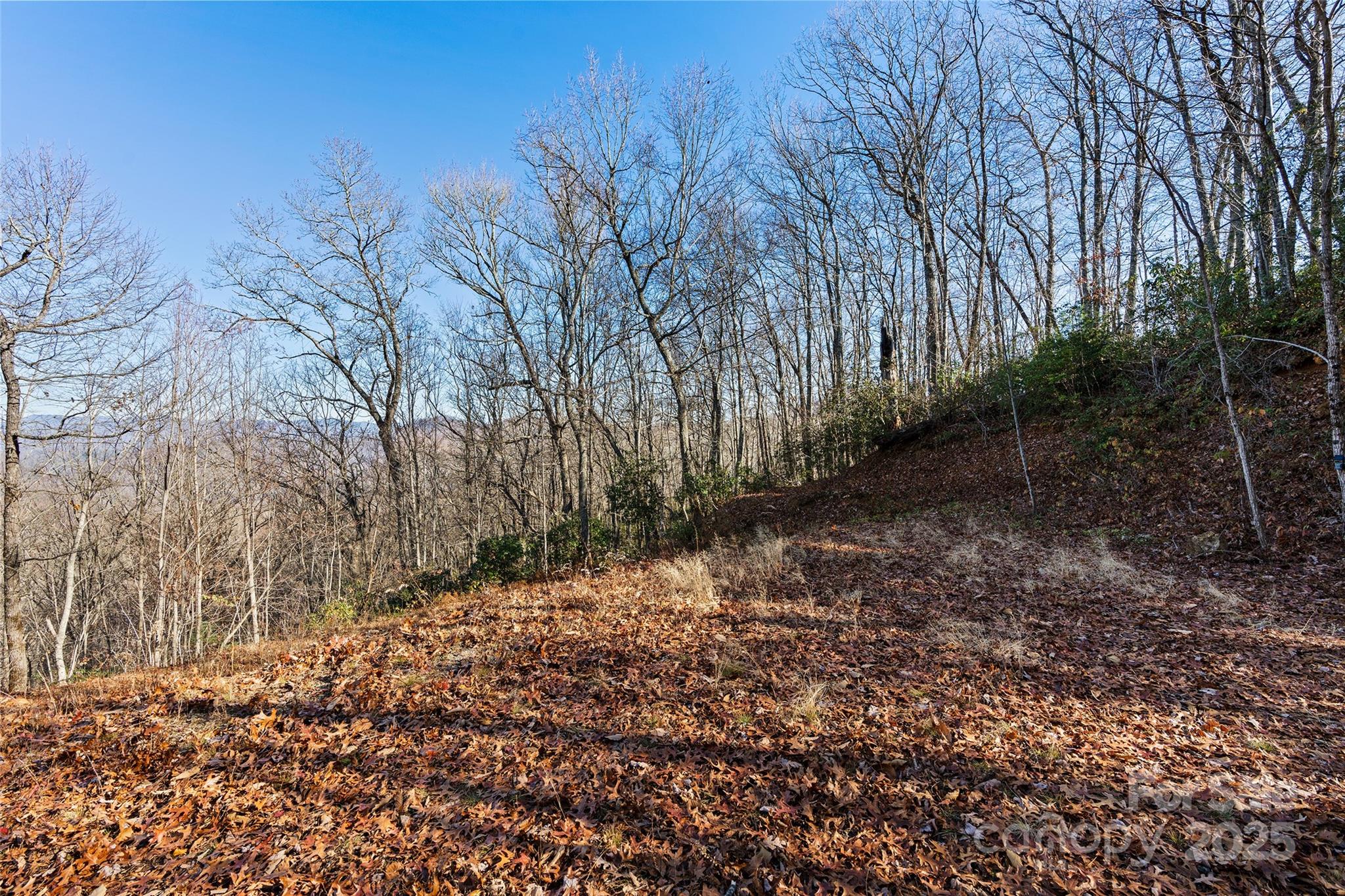 69 & 81 Winter Moon Ridge Property Photo 14