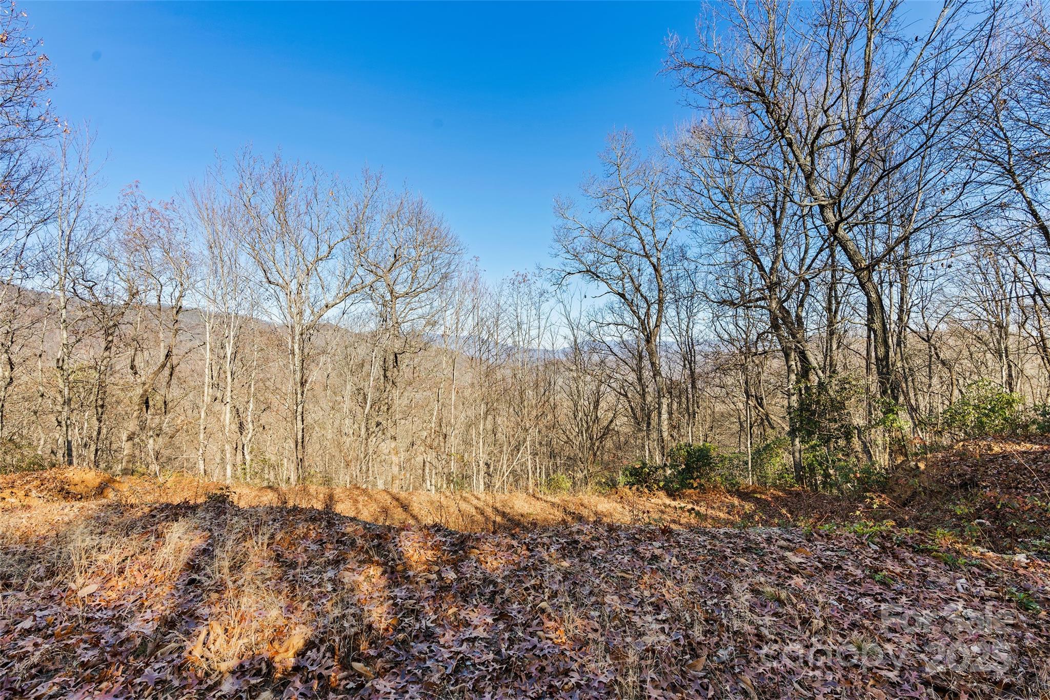 69 & 81 Winter Moon Ridge Property Photo 15
