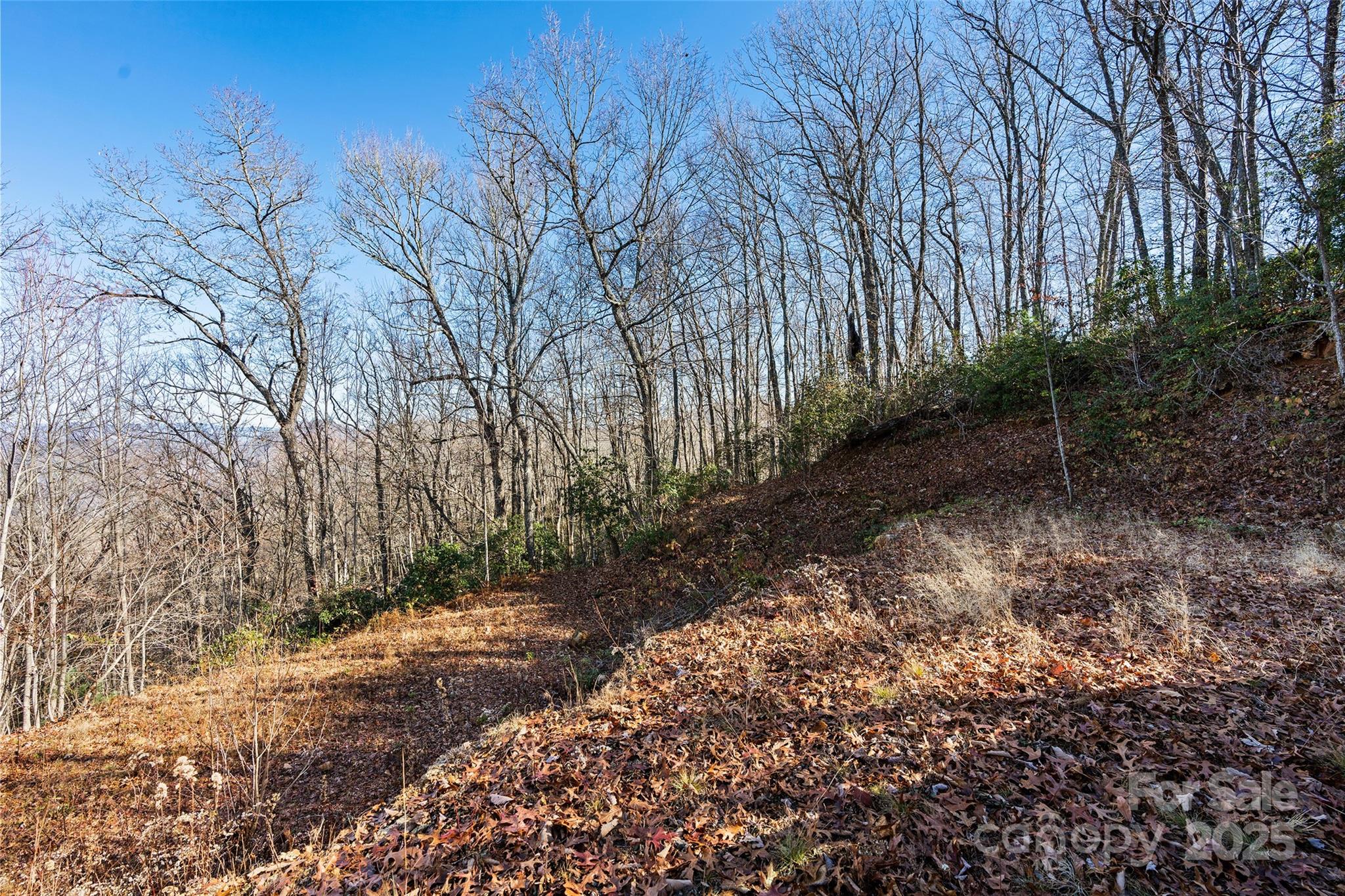 69 & 81 Winter Moon Ridge Property Photo 16