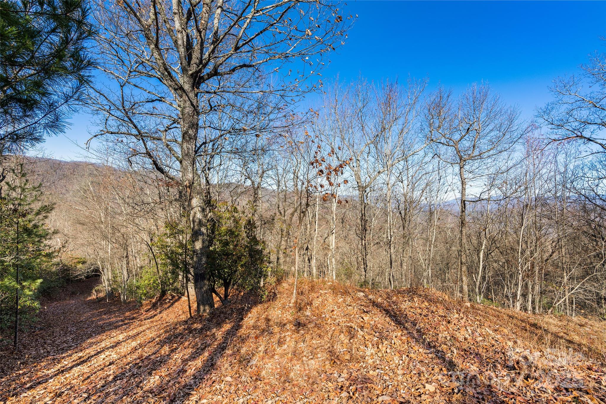 69 & 81 Winter Moon Ridge Property Photo 17