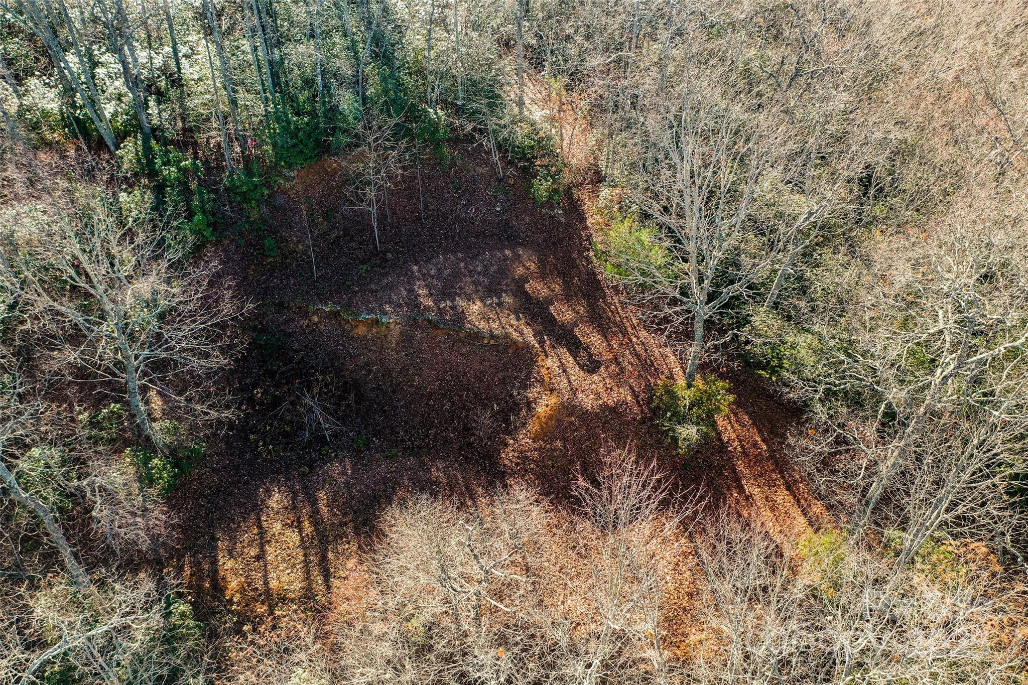 69 & 81 Winter Moon Ridge Property Photo 21